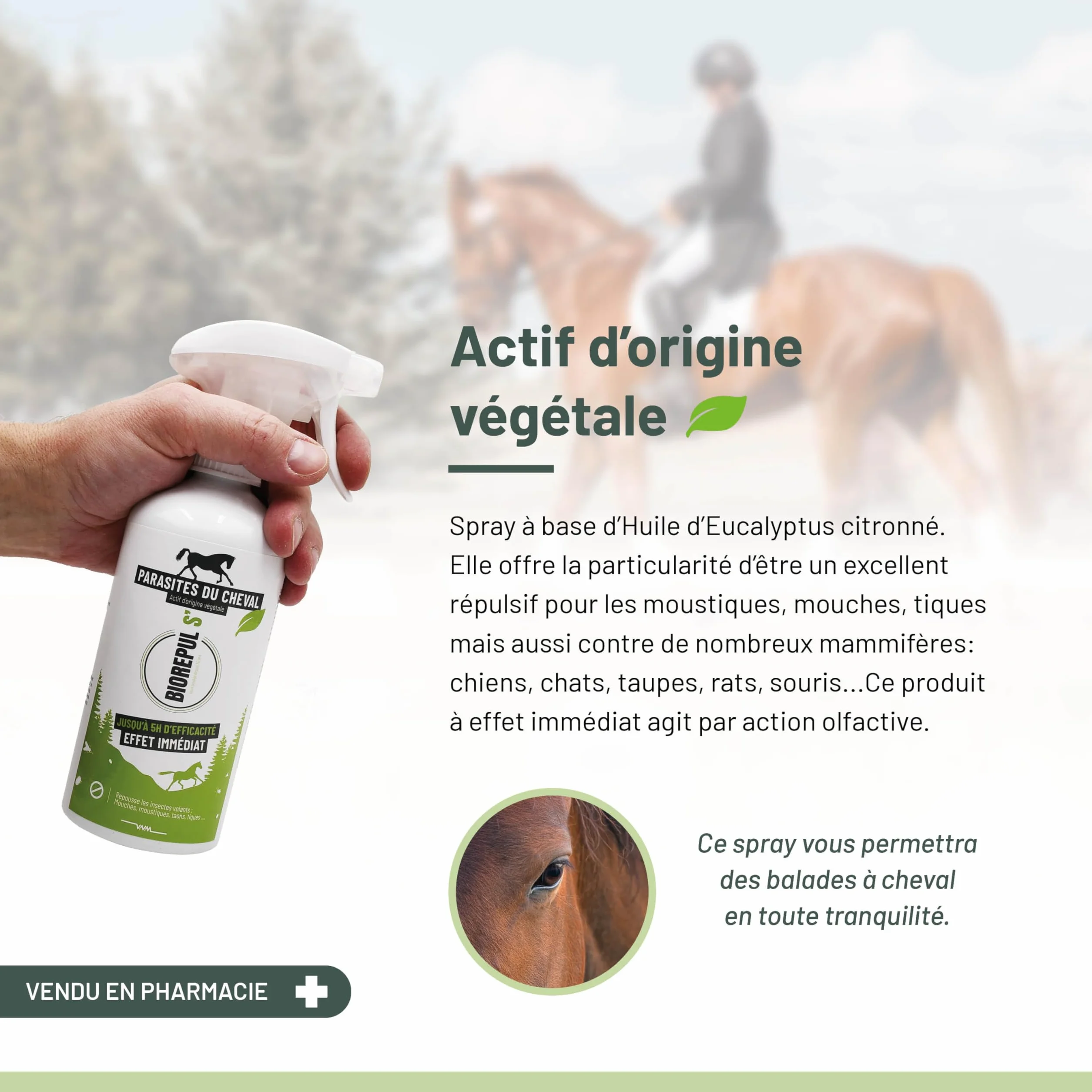 BIOREPUL'S - Spray Répulsif pour Mouches de Cheval - Parfum citronné à l'huile d'eucalyptus - Efficace jusqu'à 5h - 450 ML