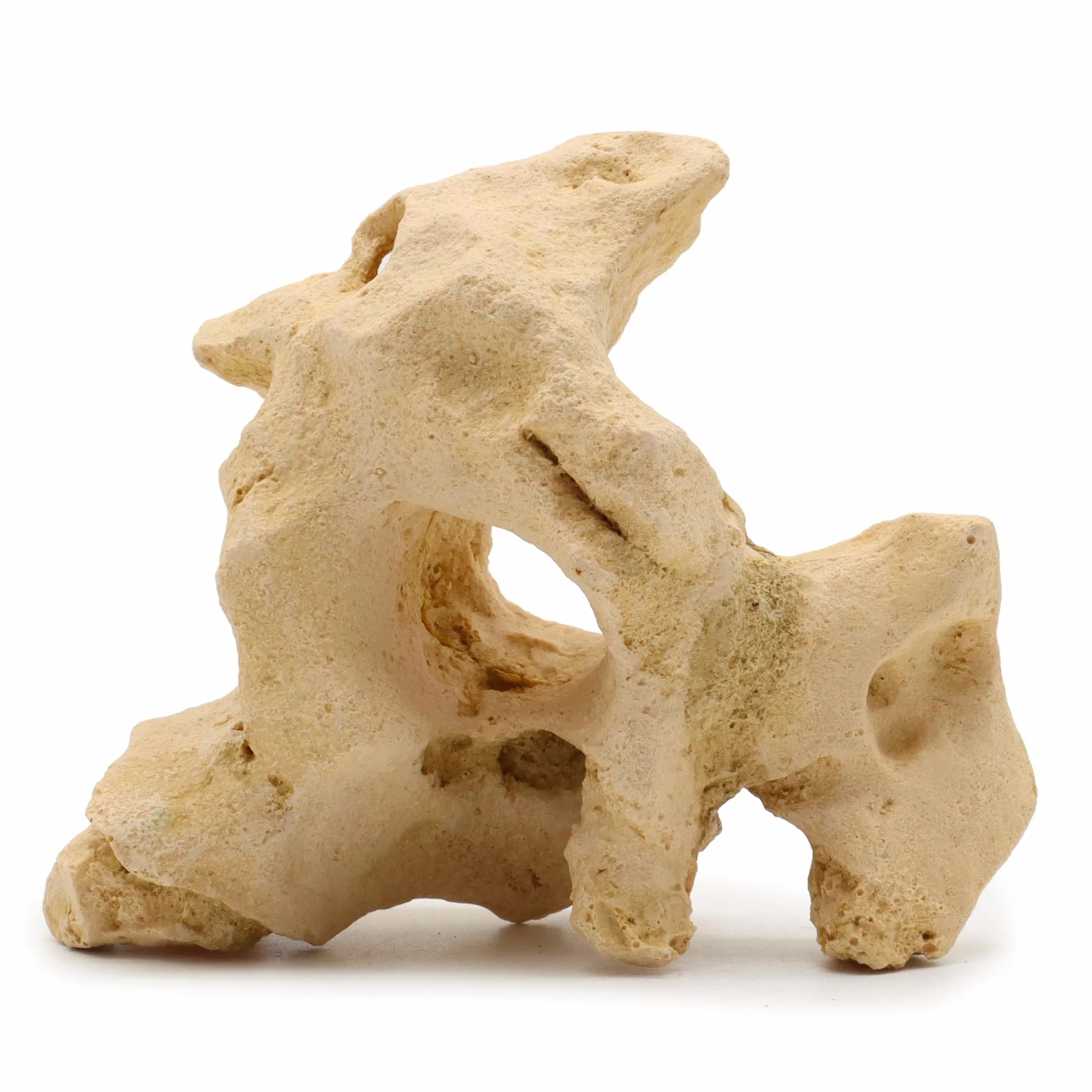 Roche Gallura Décoration Aquariophilie Beige Taille S