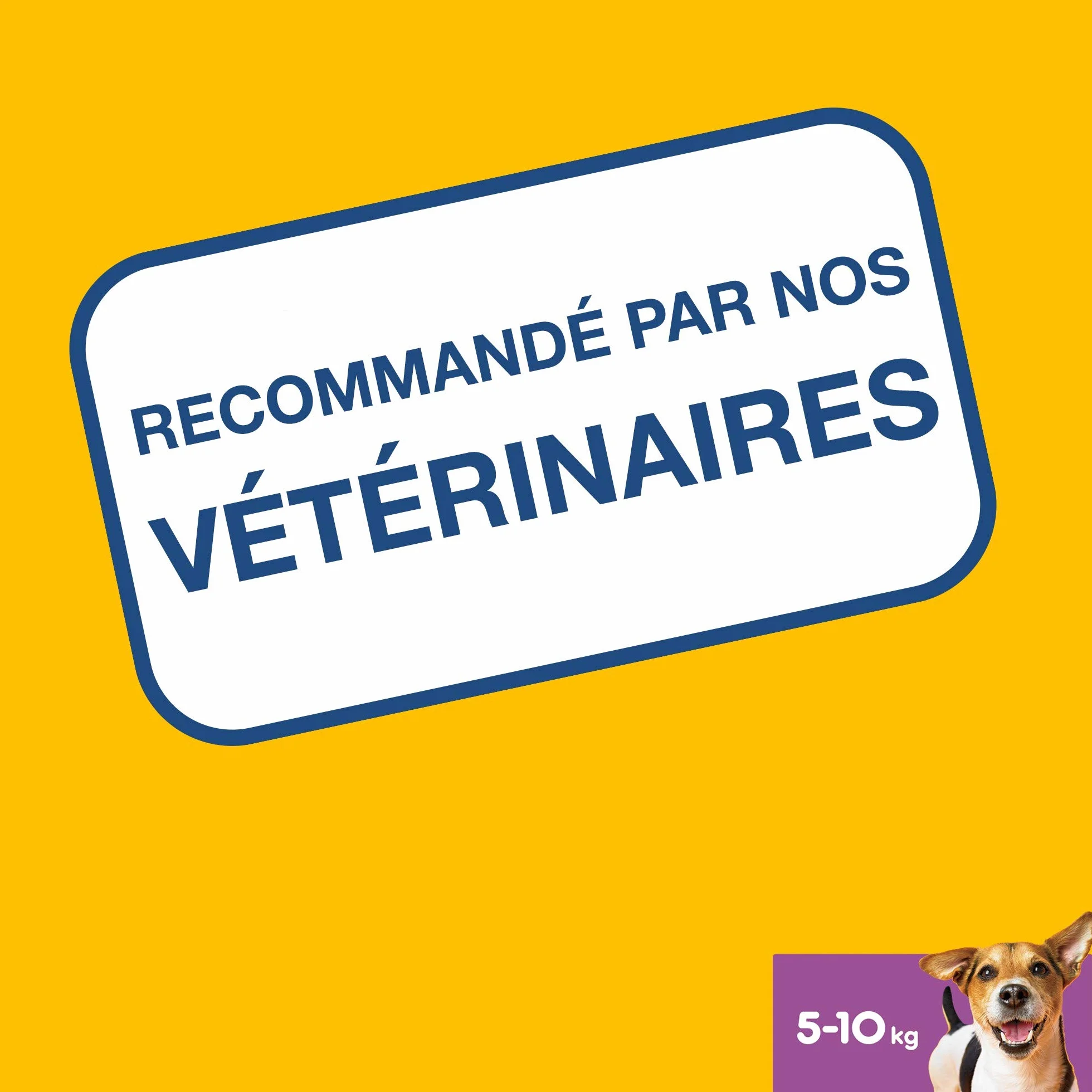 Pedigree Dentastix Friandises pour petit chien 56 bâtonnets hygiène bucco-dentaire 880 g