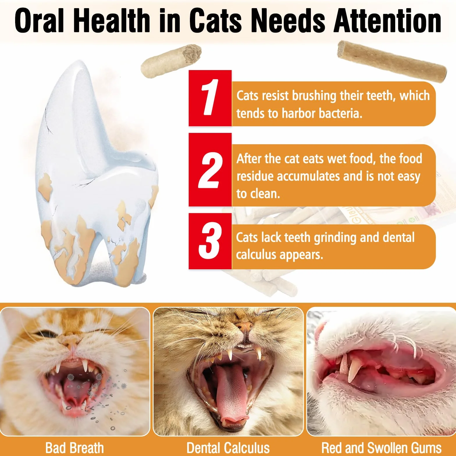 Bâtonnets à Mâcher Lyophilisés pour Chats 100g - Friandises Dentaires pour Haleine Fraîche et Réduction du Tartre