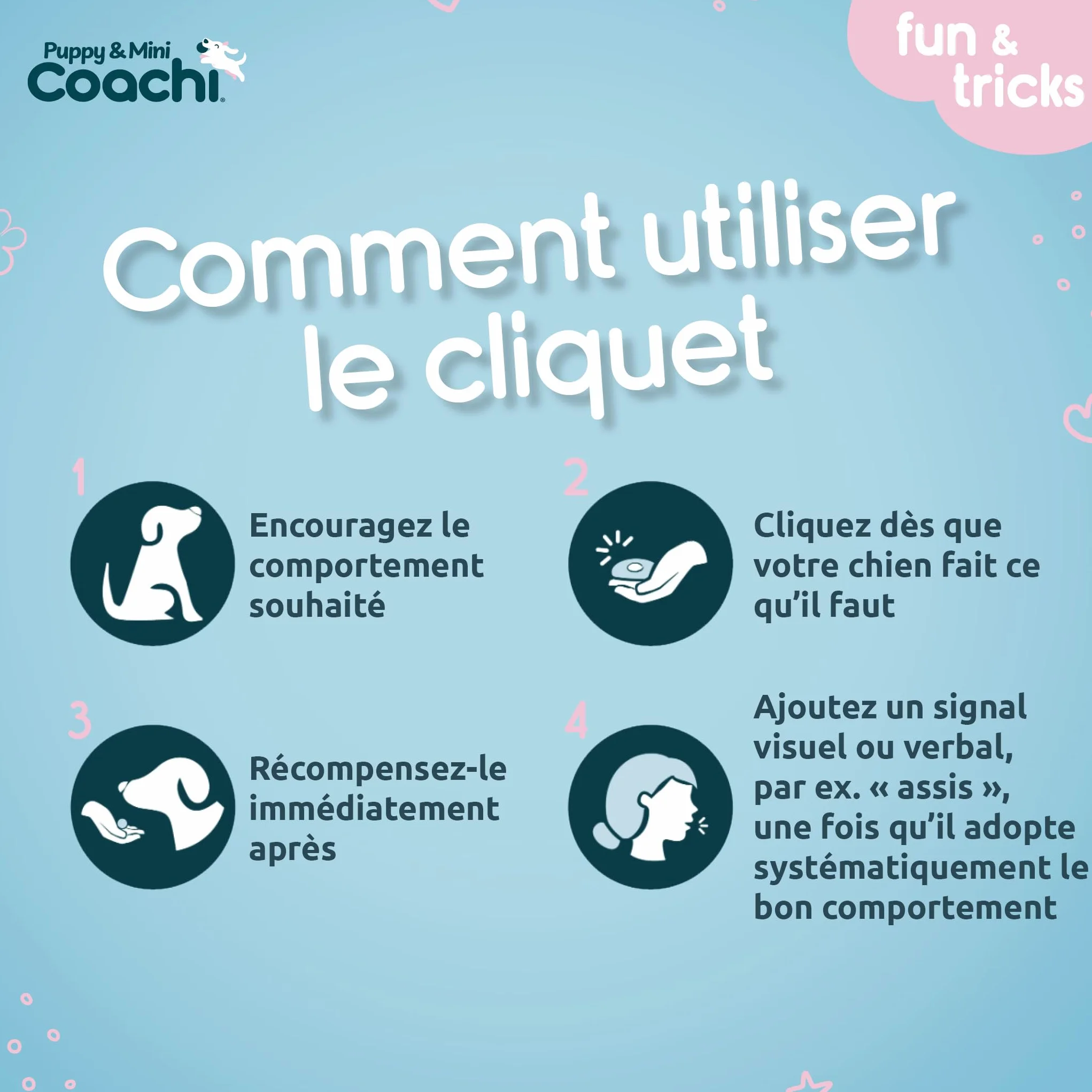 Sifflet et clicker combinés 2-en-1 pour chien, éducation rappel et récompense, cordon réglable réfléchissant