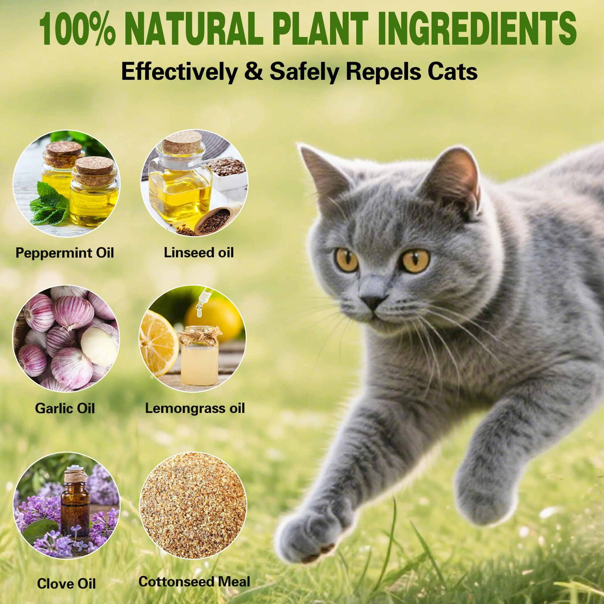 Répulsif pour chats à l'huile de menthe poivrée naturelle extérieur, lot de 24