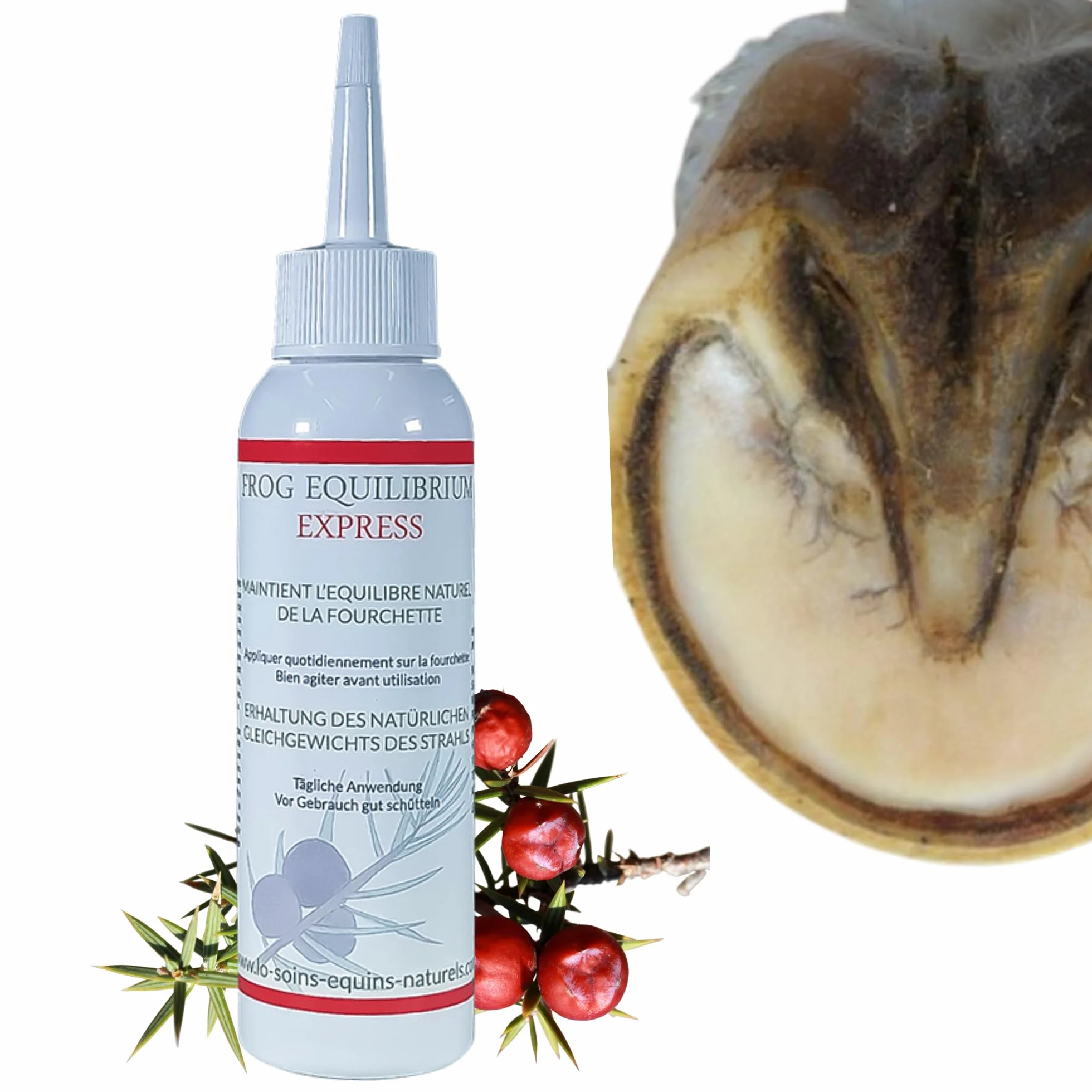 Frog Equilibrium Express - Soin Naturel réparateur et Protecteur des fourchettes pour Cheval - Retour Rapide à l'état physiologique (125 ML)