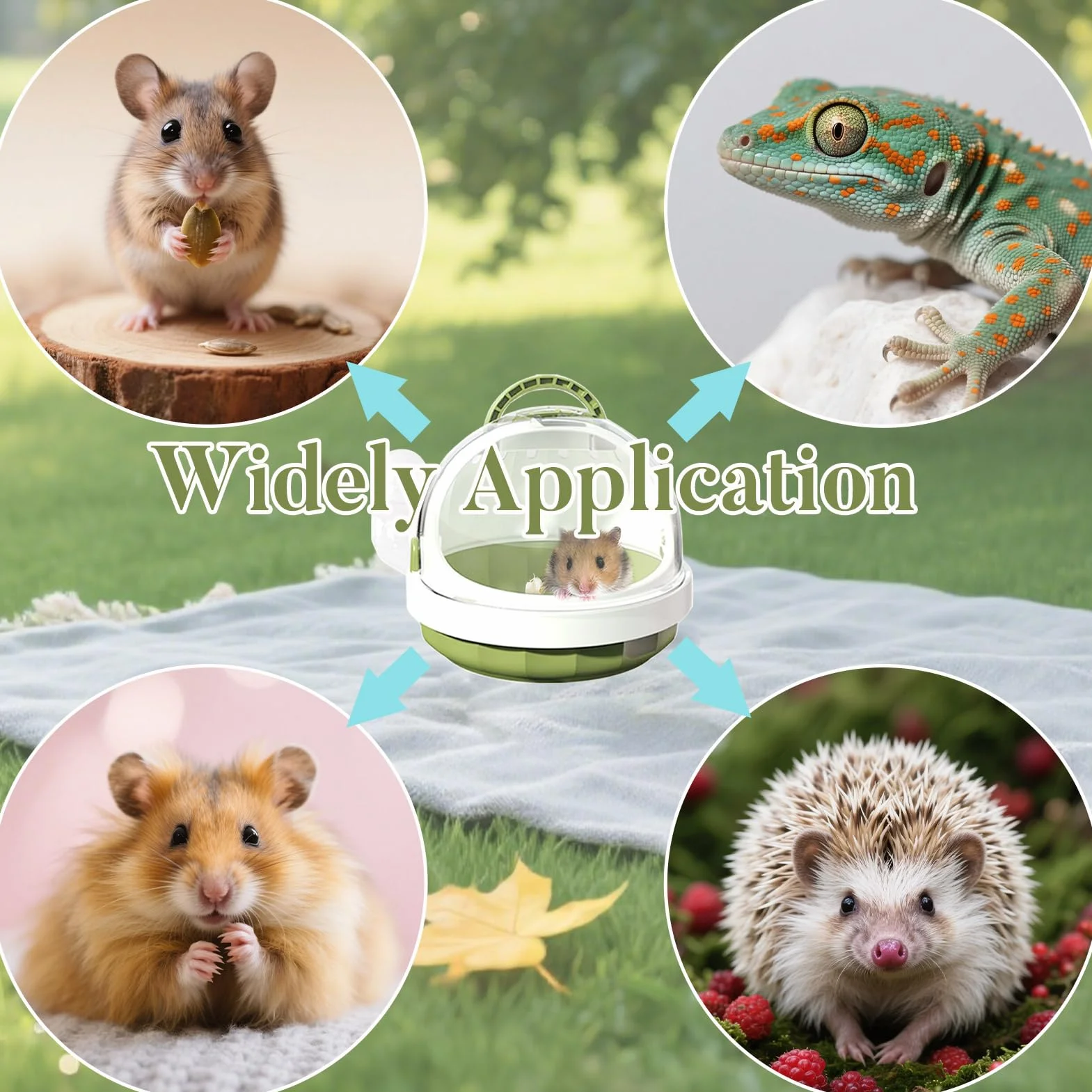 Cage de Transport Portable pour Hamster, Transporteur pour Petits Animaux avec Aérations et Bouteille d'Eau Amovible