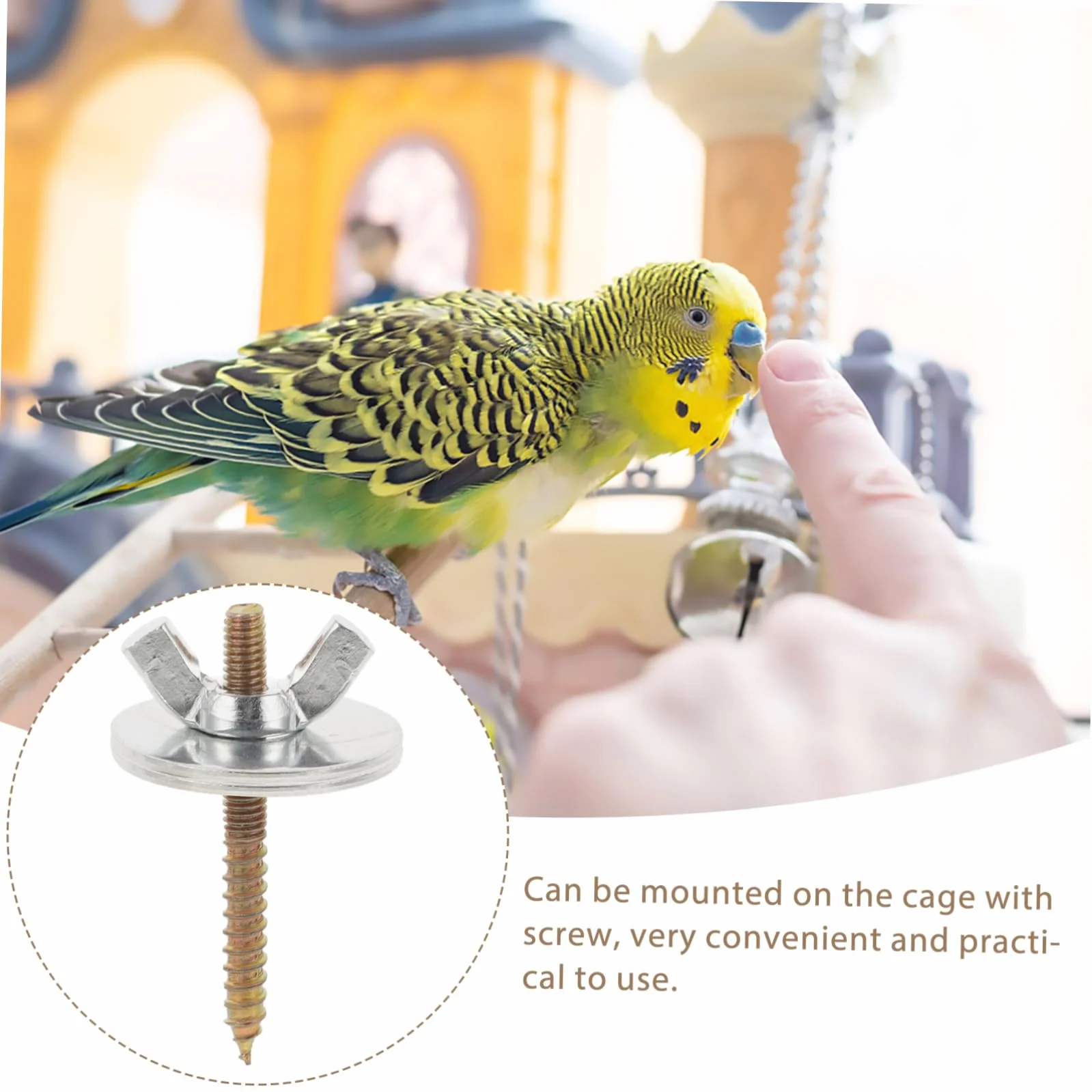 iplusmile 10 Ensembles Vis de Fixation pour Cage à Oiseaux avec Écrous et Rondelles