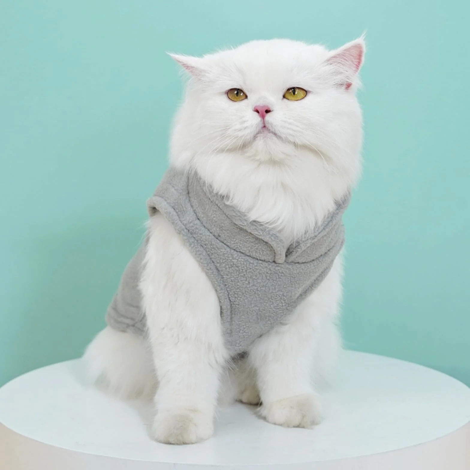 Pull Chien avec Anneaux en D Veste d'hiver Manteau pour Petite Taille Chihuahua Noir Gris S