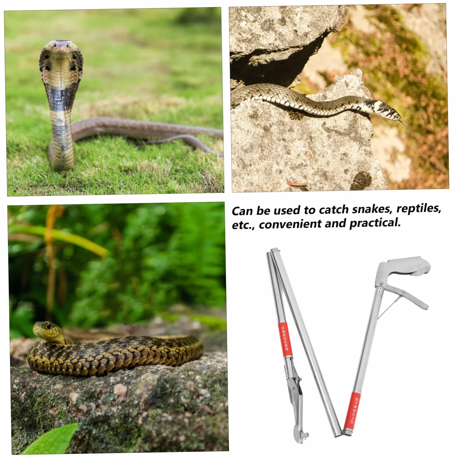 Pince à Serpent Pliable en Acier Inoxydable 3 Sections Longue Portée HANABASS