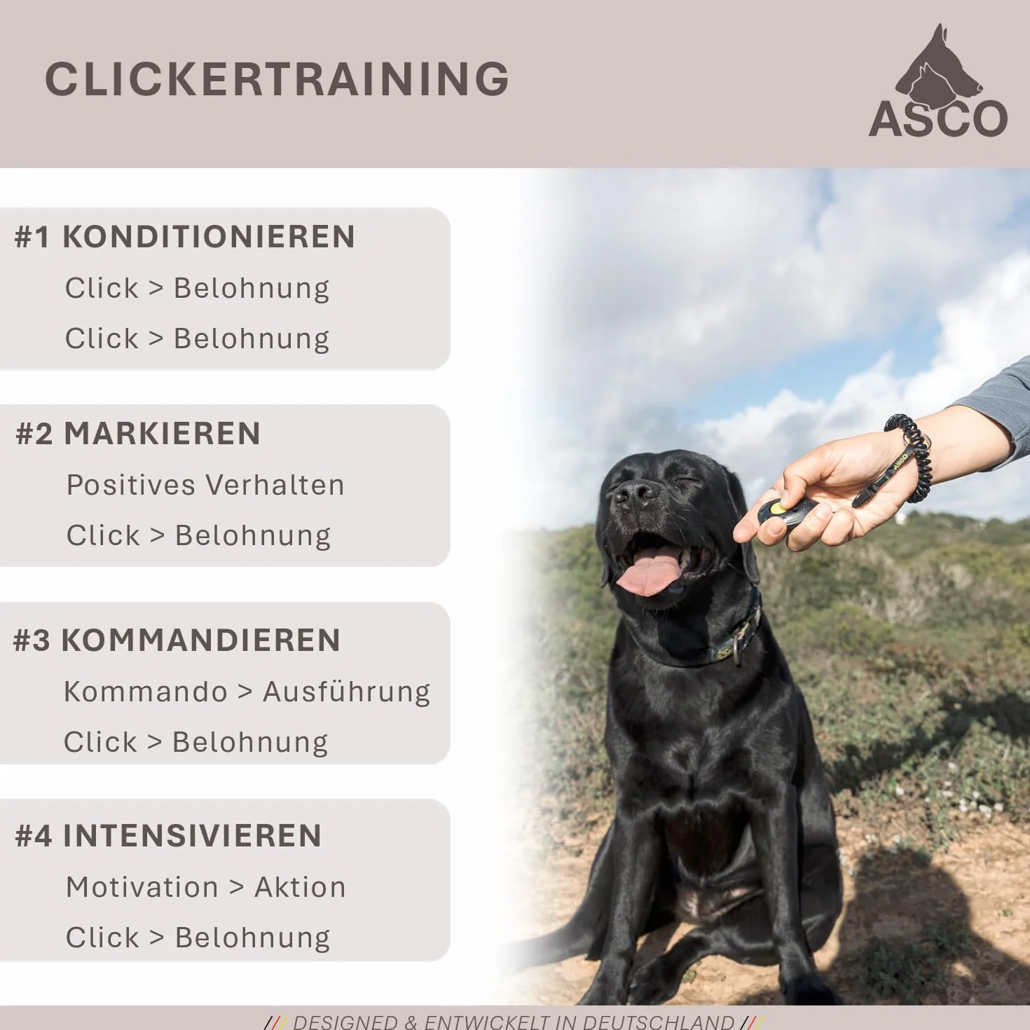 ASCO ClickStick®, Target Stick avec cliquet de qualité supérieur Amovible, Cible télescopique pour Chiens, Chats, Cheval cliquet de Dressage, Noir AC01TCS