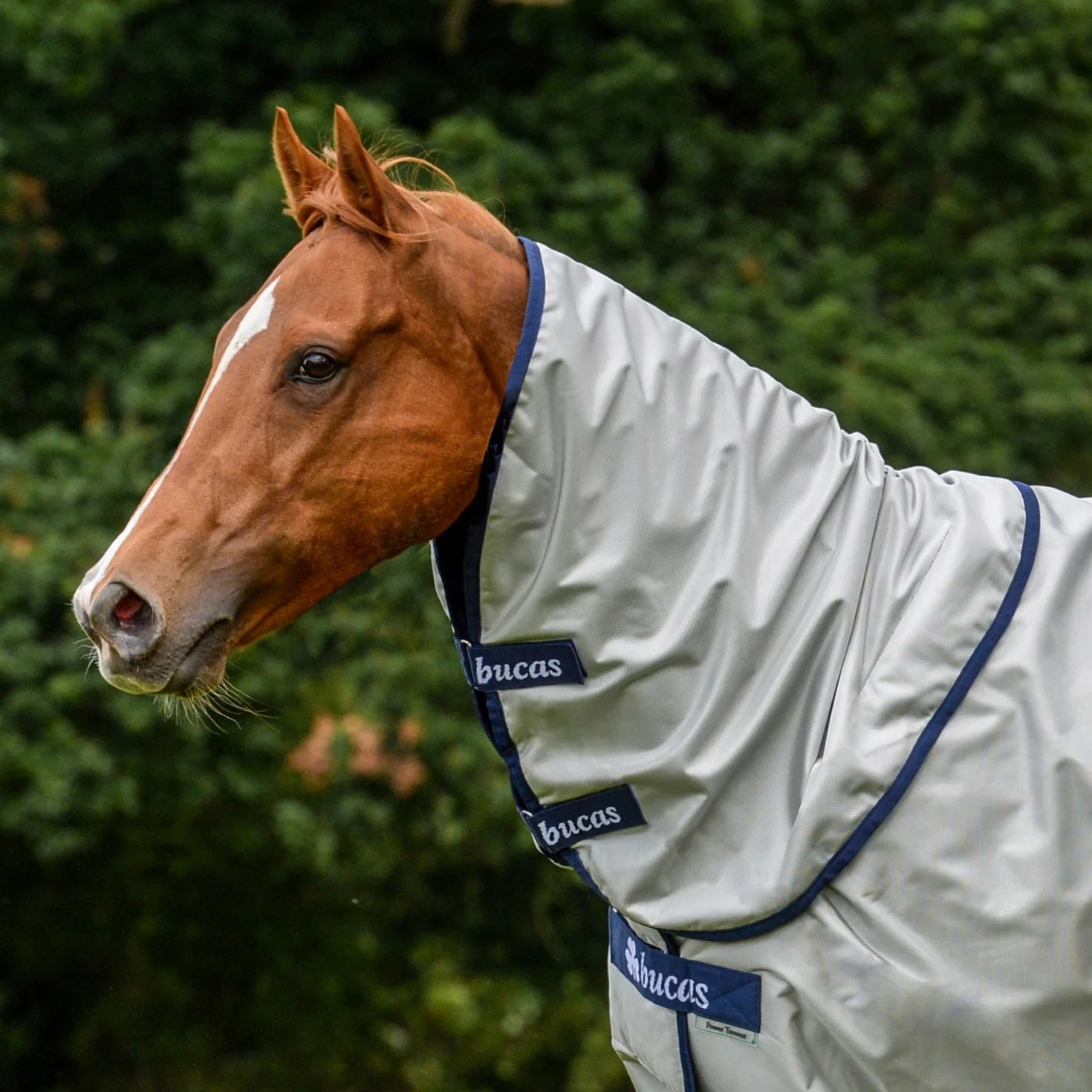 Bucas Power Combi Neck Cover