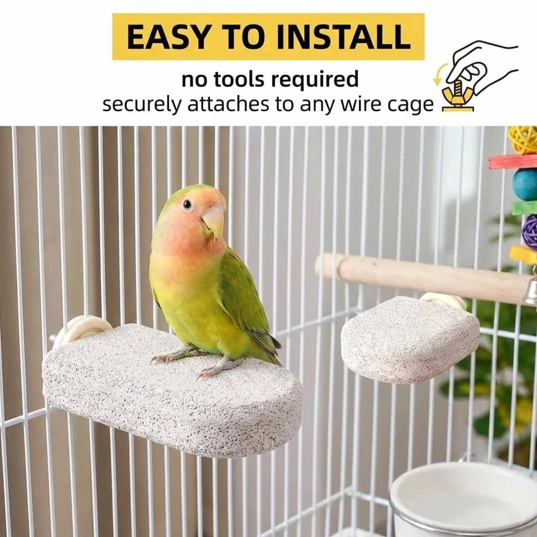 Lot de 2 Supports pour Os de Seiche Oiseaux, Pince Porte-Nourriture pour Cage, Accessoires Perruches Canaris Perroquets