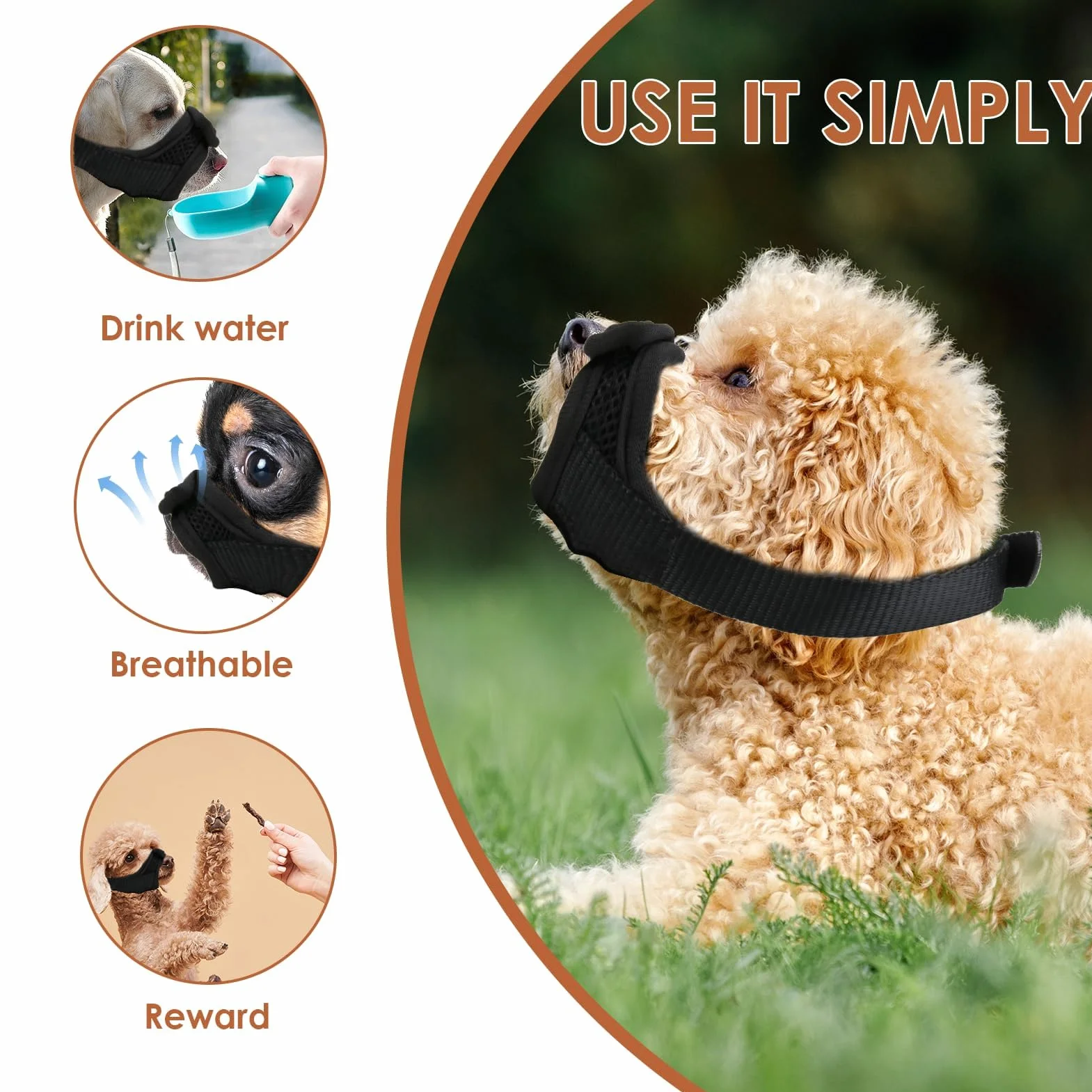 Anti Morsure Muselière Dog Muzzle, Musoliaire Petit Chien Nylon Legere Souple Museliere Réglable Anti Aboiement Intoxication Chiens pour Teddy Bear Shih Tzu Jack Russell Terrier Teckel Nain (S)