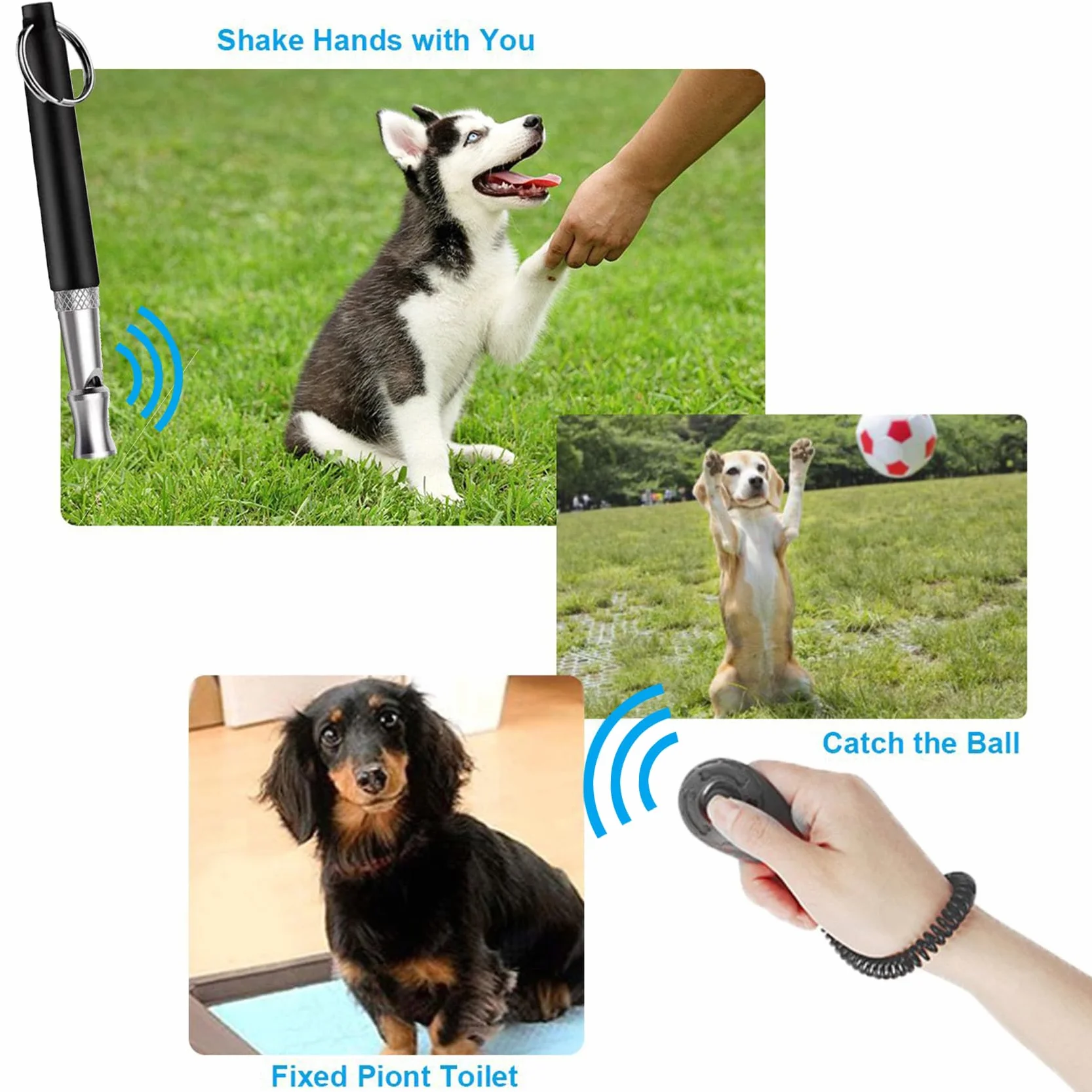 Sifflet Chien Clicker Dressage avec Lanière Kit Dressage Animaux
