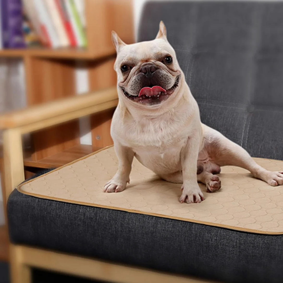 Amosfun Tapis Propreté Chiot Absorbants pour Chien, Alèses pour Animaux, Tissu Imperméable et Lavable, Skin-Friendly