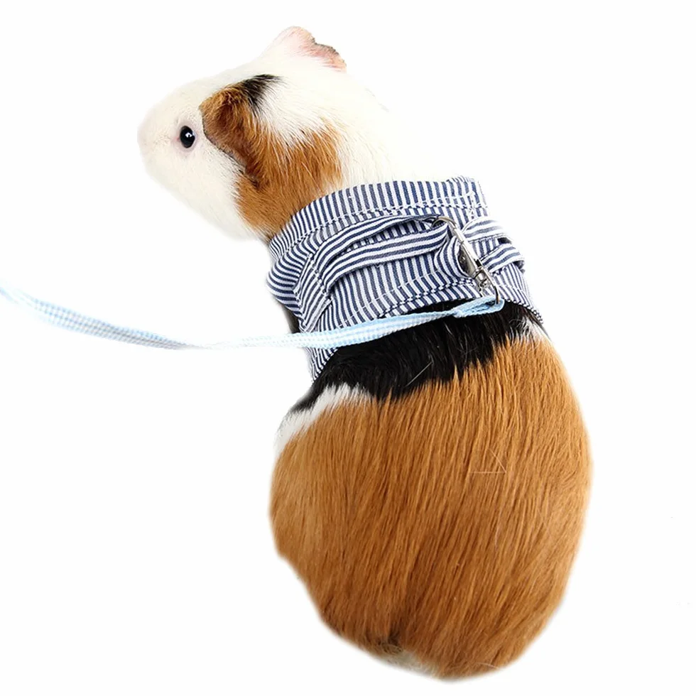 ASOCEA Ensemble de Harnais et Laisse réglables en Coton Doux pour Lapins cochons d'Inde pour Rats Iguane Hamster furets Petit Animal