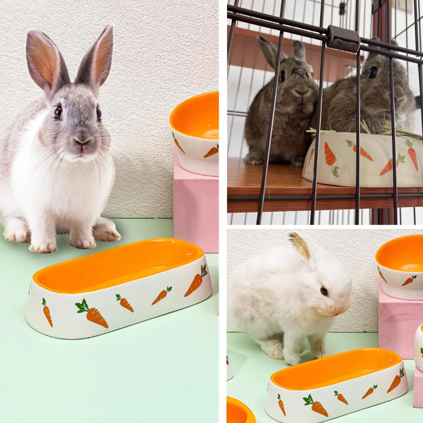 Gamelle en céramique pour lapin, hamster, chinchilla, furet