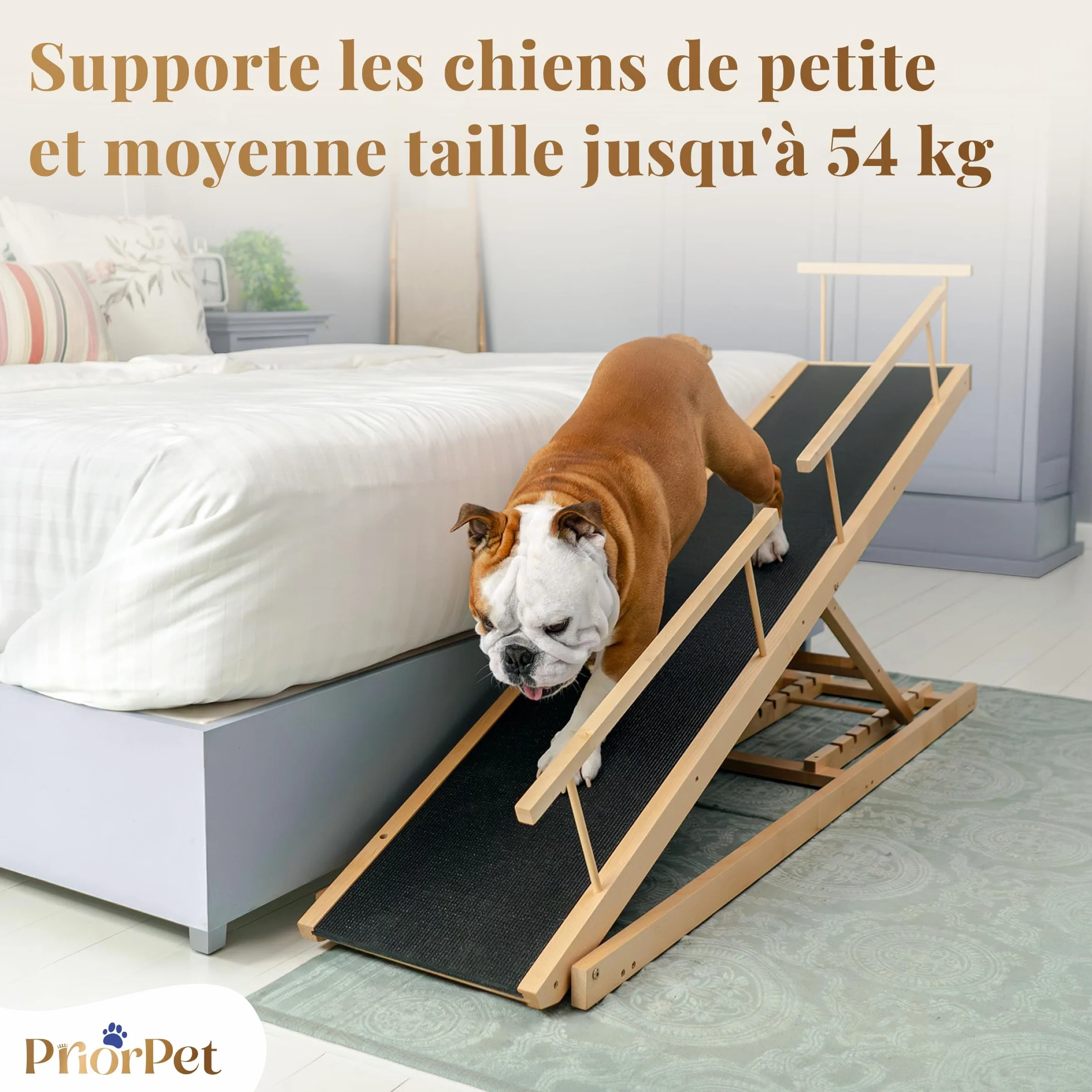 PRIORPET Rampe pour Chien avec Barrières de Sécurité Escalier Pliable Lit Haut 94.5 cm Bois de Bouleau Antidérapante 23kg Naturel