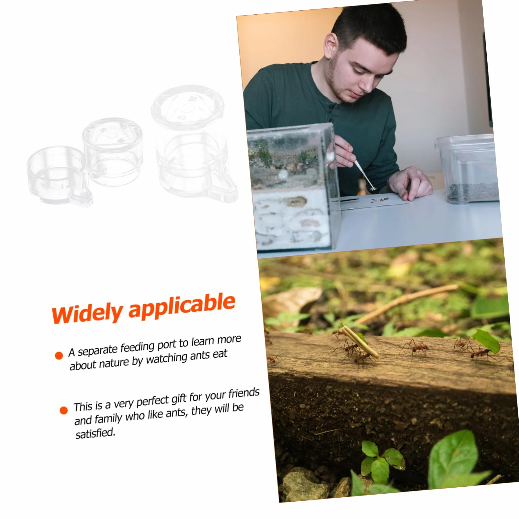 Gamelles à Eau pour Fourmis Acrylique Mangeoires Transparentes avec Port d'Alimentation Séparé