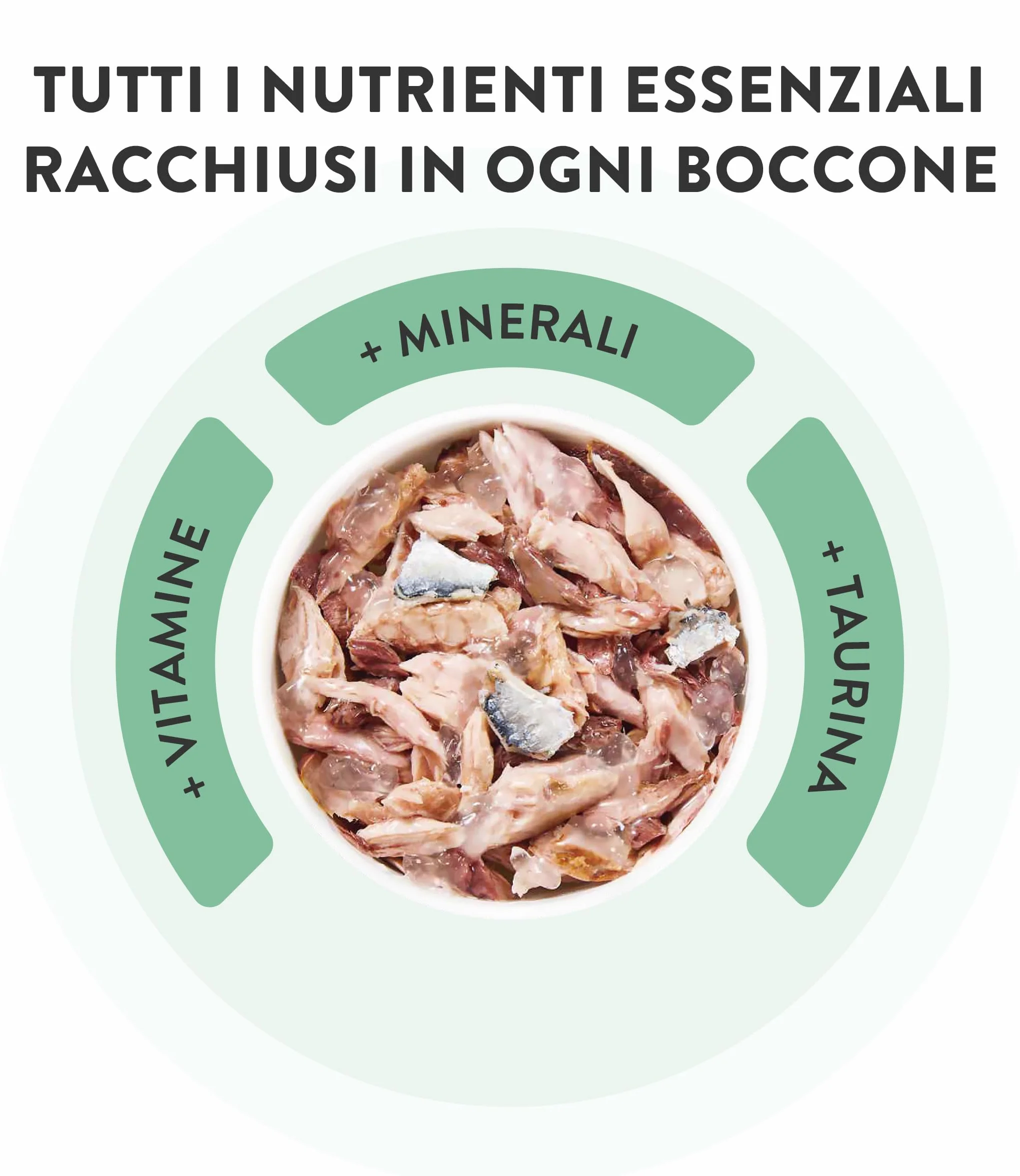 Schesir, Thon avec Saumon en gelée, Nourriture Humide complète pour Chats, en Conserve, avec des vitamines supplémentaires, 100% Naturel, 6 x 85 g