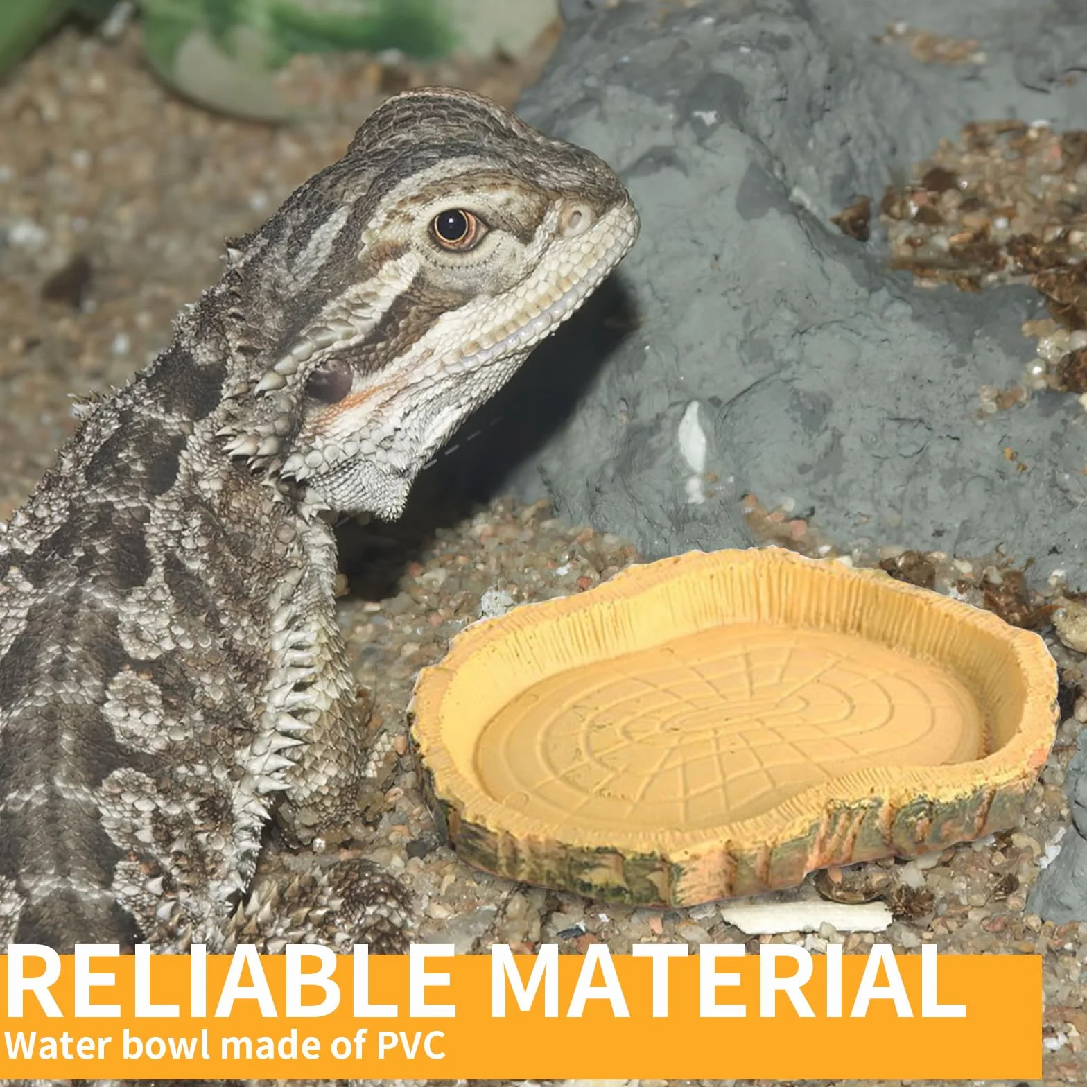 Lithyc 2 pièces Bols à Eau pour Reptiles - Abreuvoir Tortue Terrestre - Nourriture Bol Reptiles en Feuilles