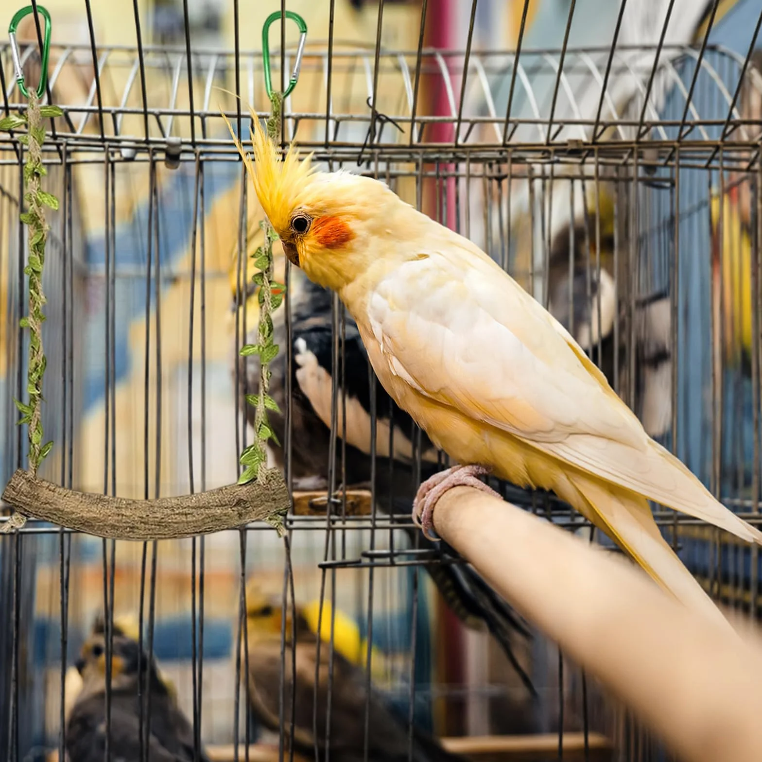 Perchoir Perroquet Balançoire Oiseaux Jouet Perruche Accessoires Cage Oiseaux Petite Moyenne Taille 2 Pièces