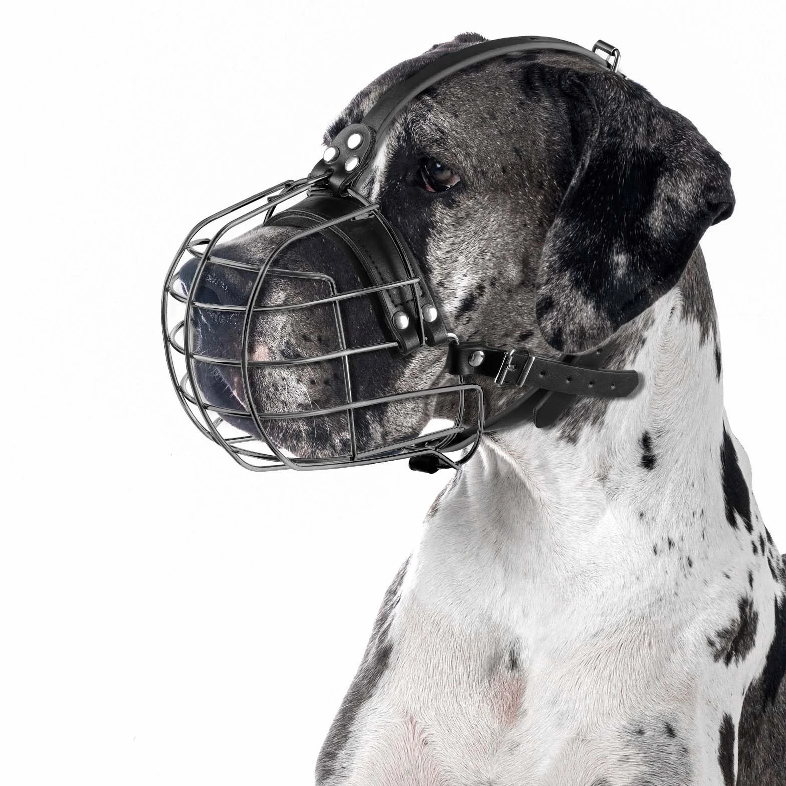 Muselière pour Chien en Métal avec Sangles en Cuir, Pitbull, Dogue Allemand, Rottweiler, Panier en Fil de Fer Sécurisé, Respirant, Ajustable pour Les Grands Chiens (Argent)