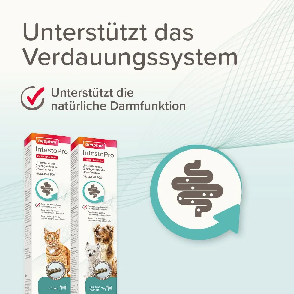 BEAPHAR Pâte IntestoPro pour Chats avec zéolite MOS & FOS 20 ML