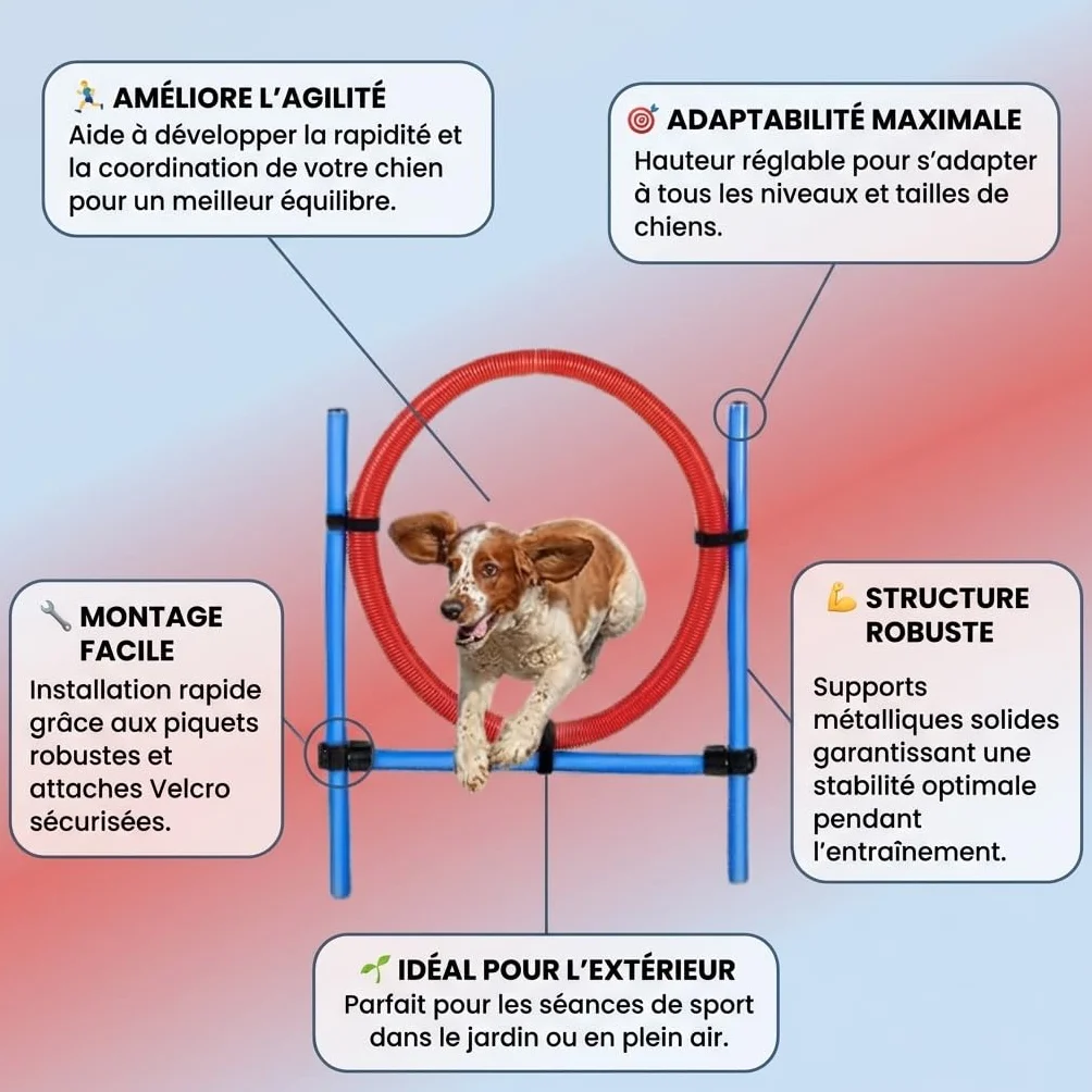 Cerceau d’Agilité pour Chien en Plastique avec Supports Métalliques Ajustables