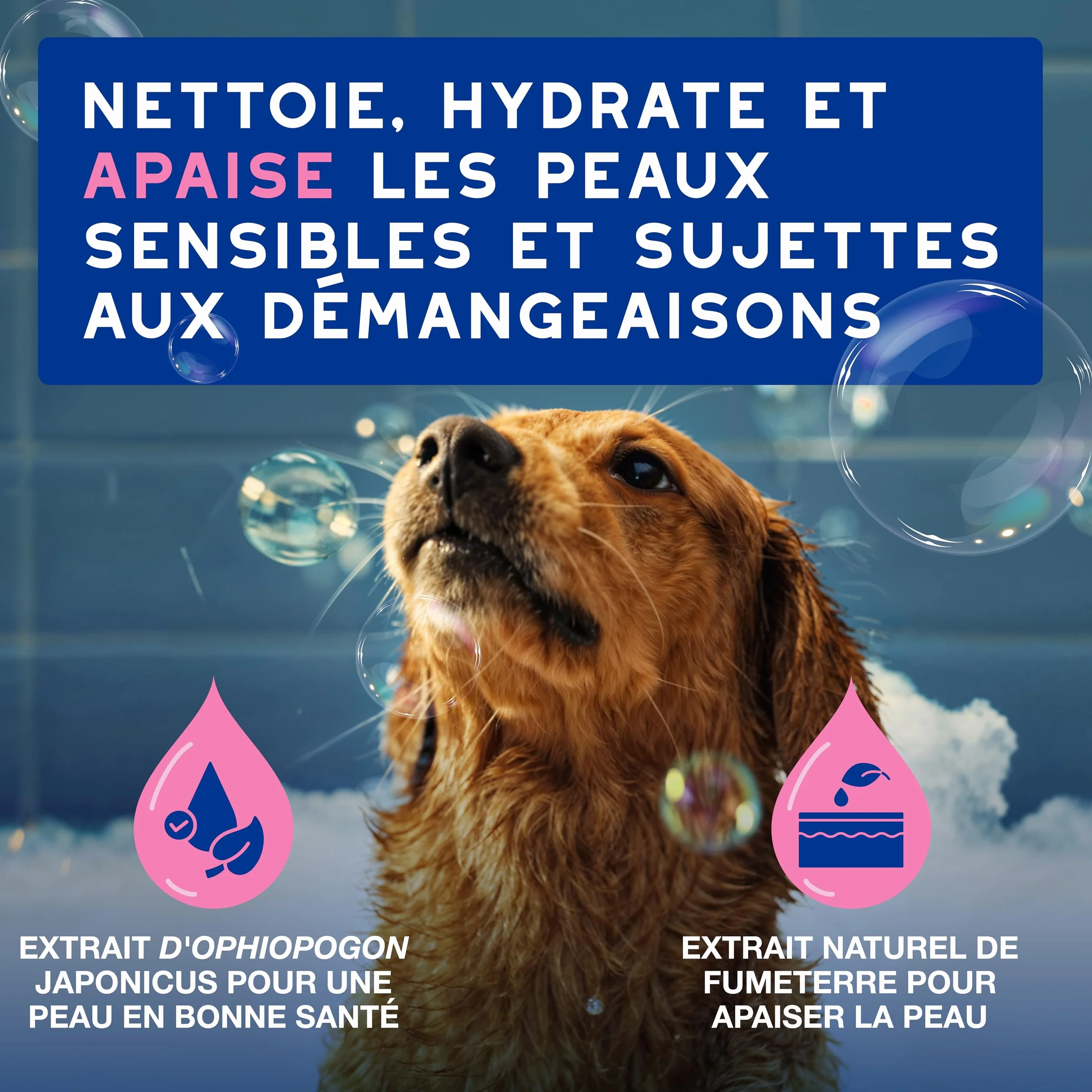 DOUXO Skin & Coat Spa - Ultra-Safe Shampoing Anti-démangeaisons pour Chien, 250mL, Nettoie et apaise la Peau, Laisse Le Pelage Doux et éclatant, Formule respectueuse de la Peau.