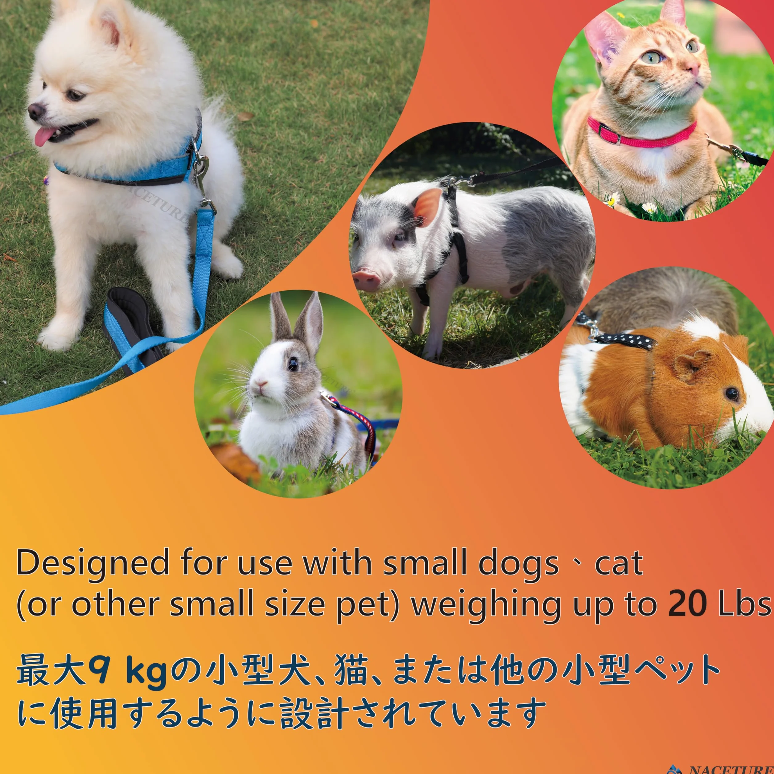 Lot de 2 piquets pour animaux de compagnie