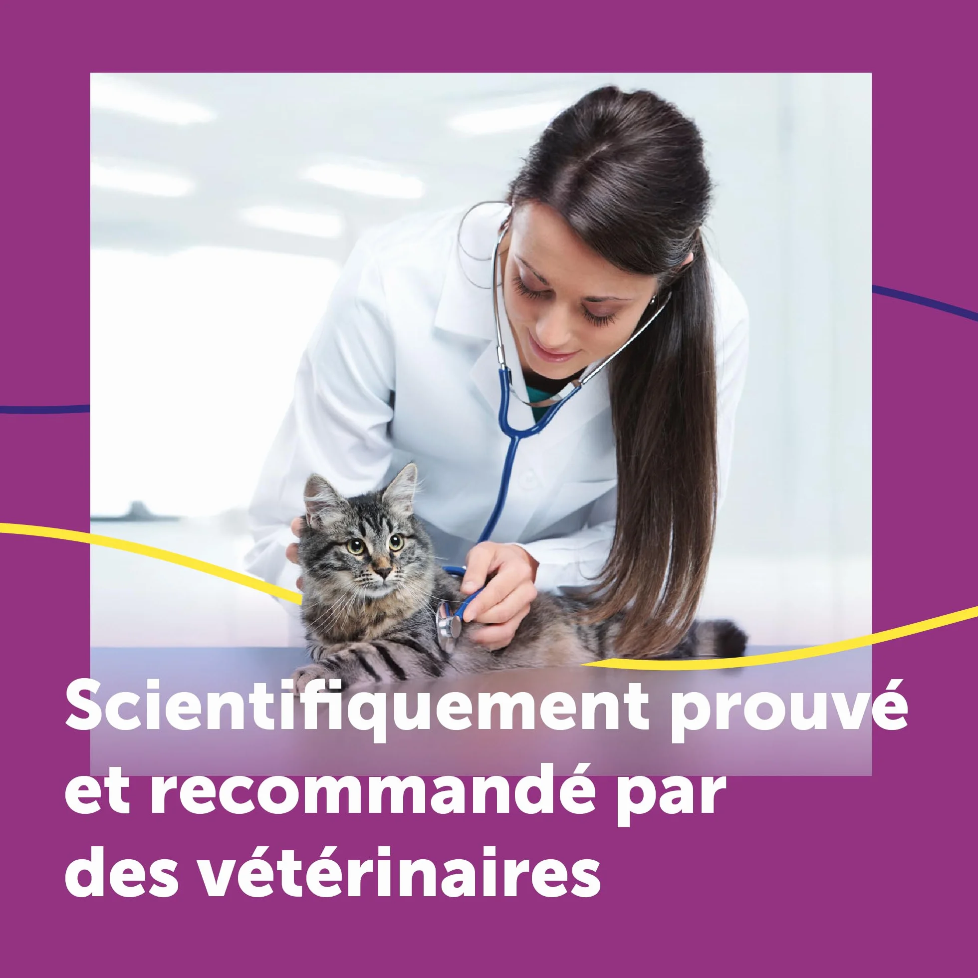 FELIWAY Help! Diffuseur Recharge phéromones apaisantes Chats 7 Jours Calmer Stress ponctuel Recommandé vétérinaires