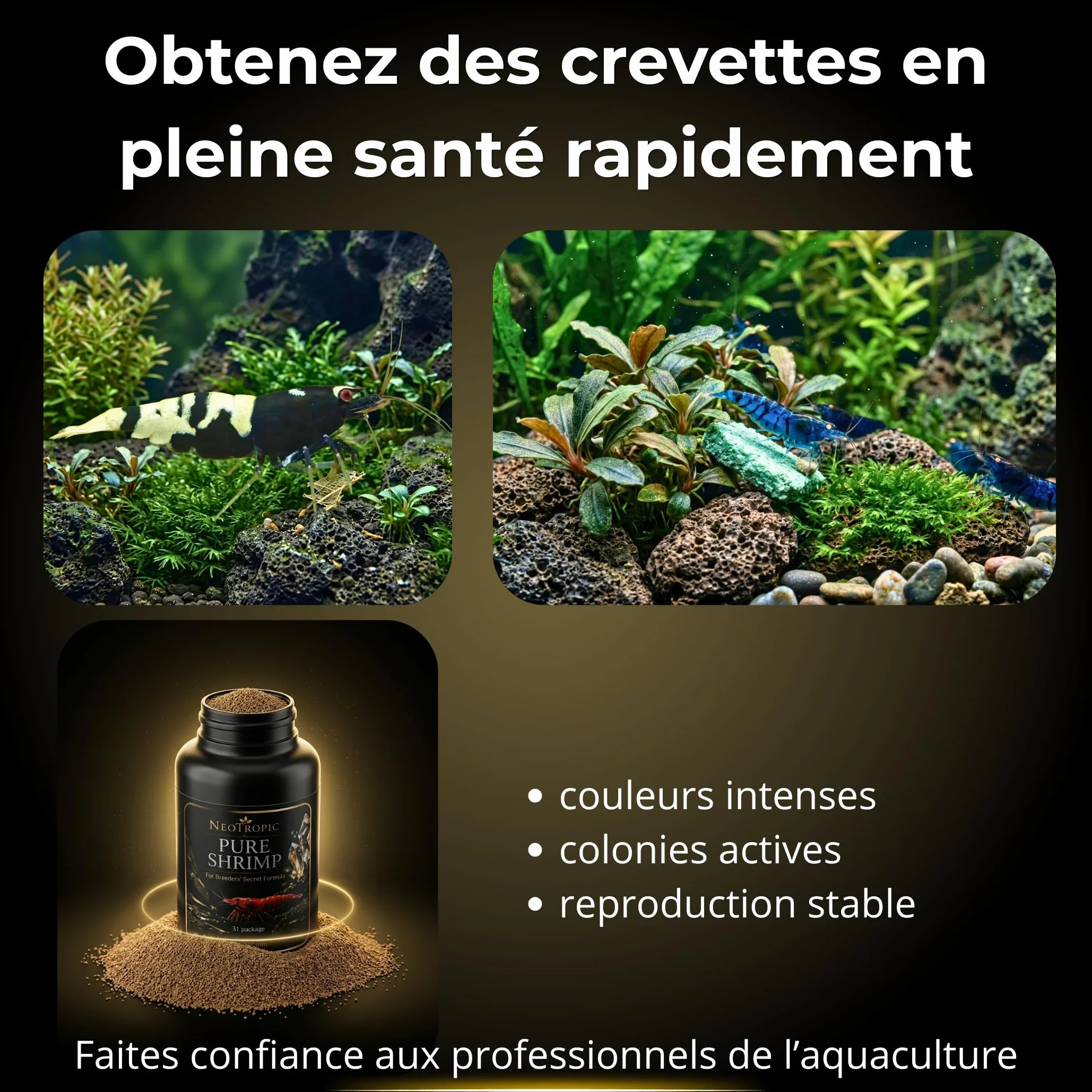 NEOTROPIC Pure Shrimp Pro Formula Nourriture Crevettes Aquarium Micro-granulés 60g