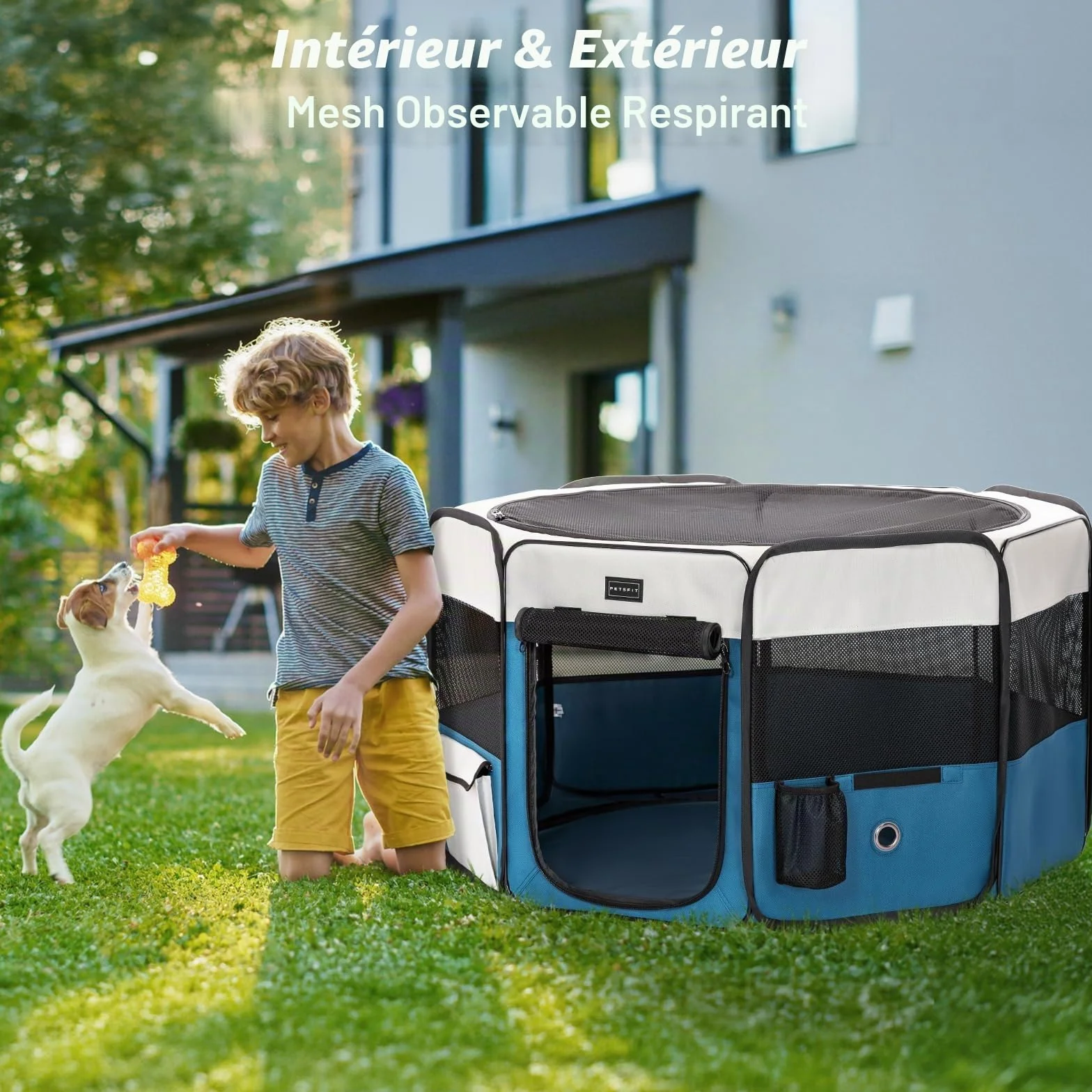 PETSFIT Enclos Pliable pour Petits Animaux 116x106x70 cm Fond étanche Pop-up Anti-Mastication Gris/Bleu