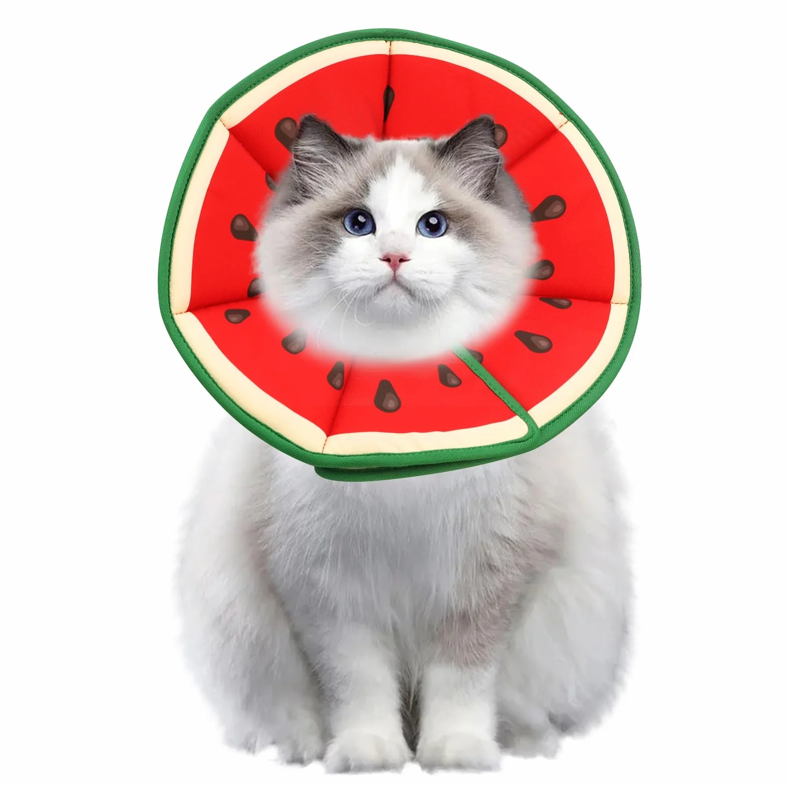 Collerette Chat Anti Léchage Forme Pastèque Douce Récupération Postopératoire Taille M