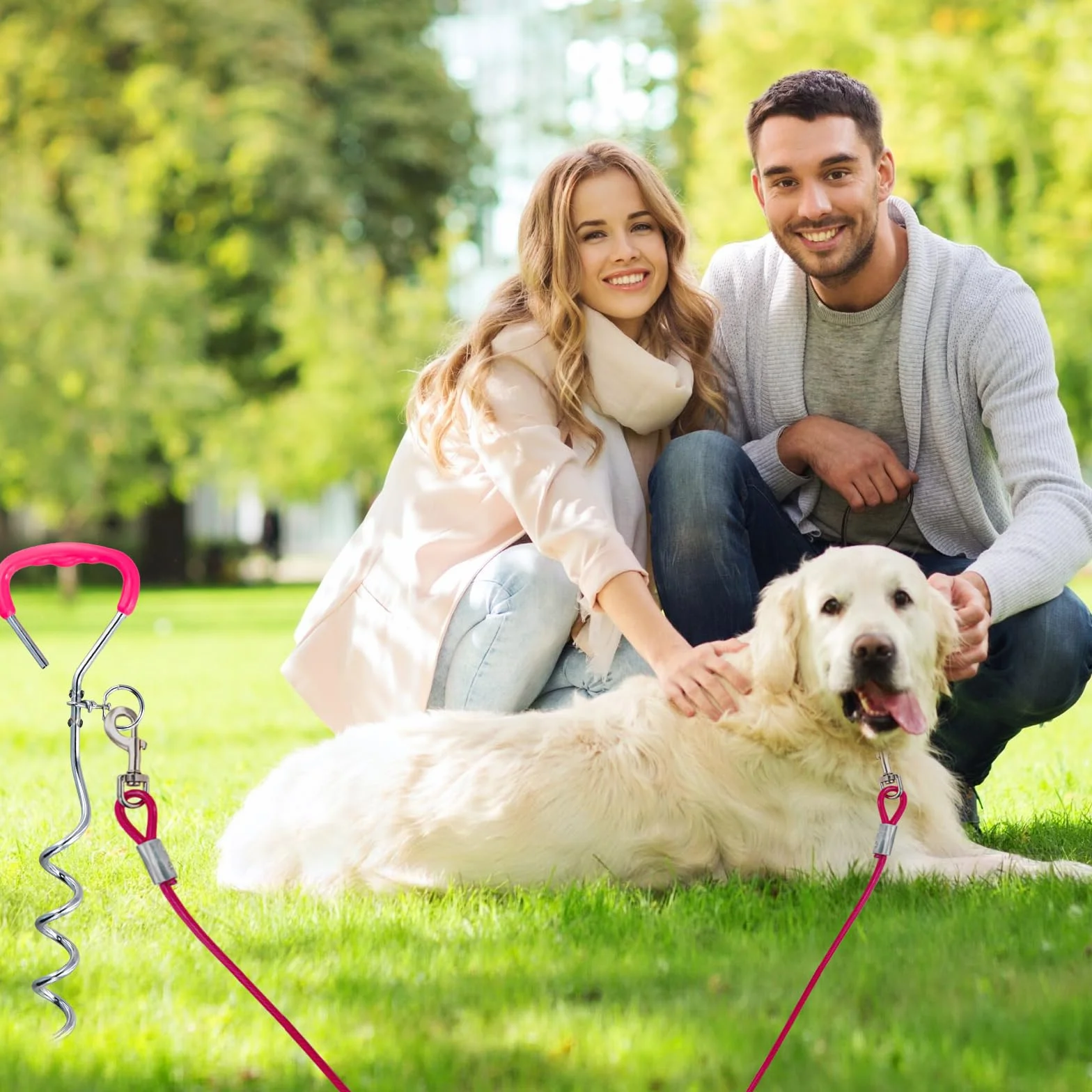 3 m Laisse pour Chien avec 42 cm Ancrage au Sol, 6 mm Câble d'attache Chiens Petite Medium Grande avec Crochet Pivotant, Jusqu'à 250 kg, PVC Coated, Anti-Morsure, Chaîne Chien Extérieur (3m Rose)