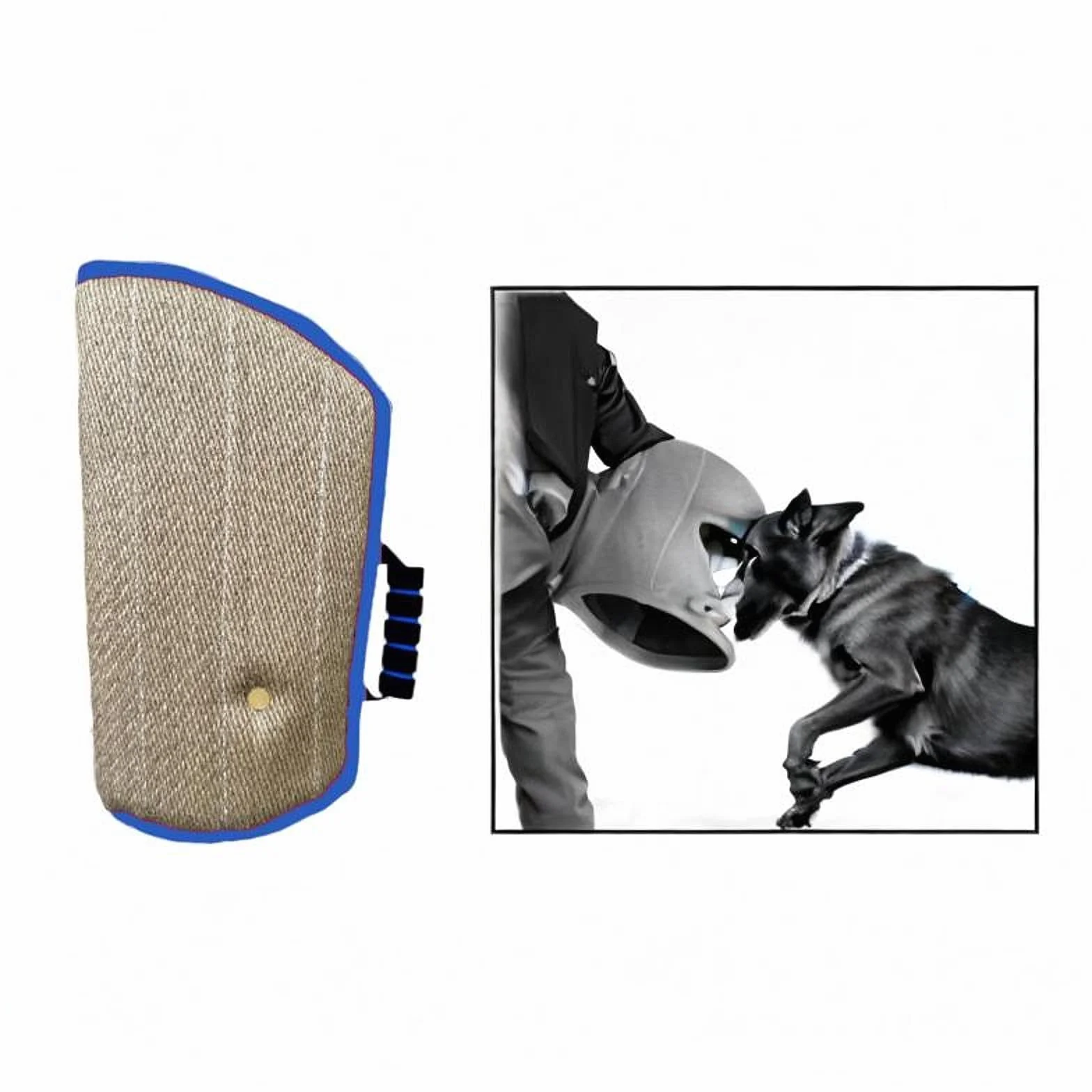 Manchon de Bras Mordant pour Chien Sharplace, Manchon d'entraînement d'agilité Professionnel, Protection Contre les Morsures, Bord Bleu