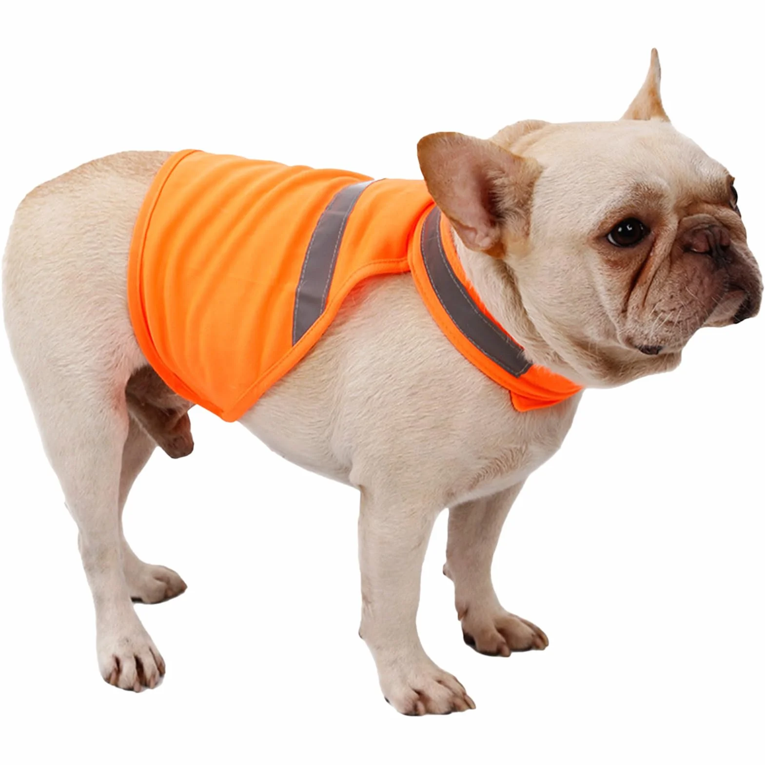 Gilet Réfléchissant pour Chien Orange Fluorescent Respirant Confortable