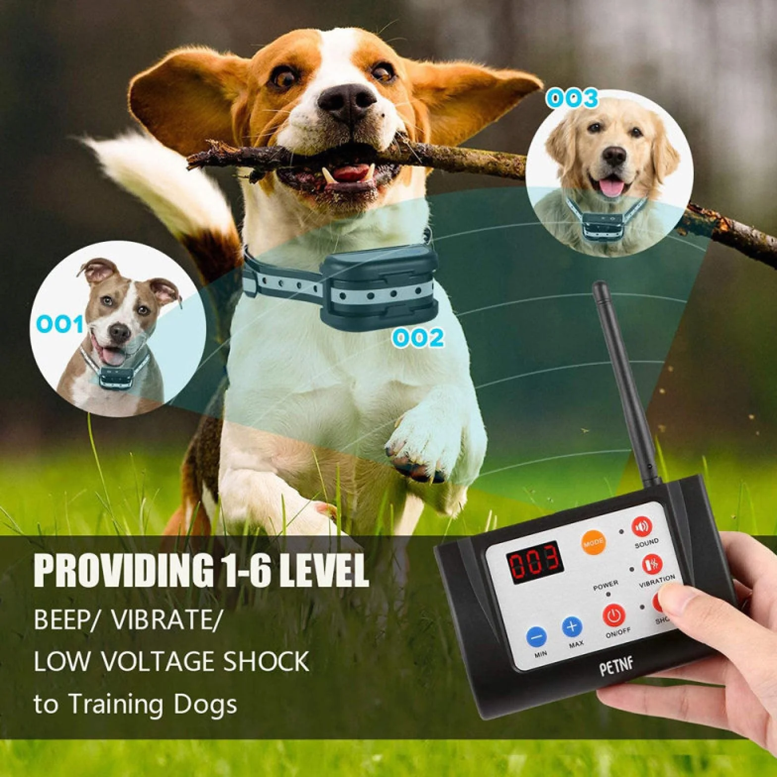 Clôture pour Chien sans Fil Électronique Étanche 2 en 1 Collier d'Entraînement avec Son et Choc