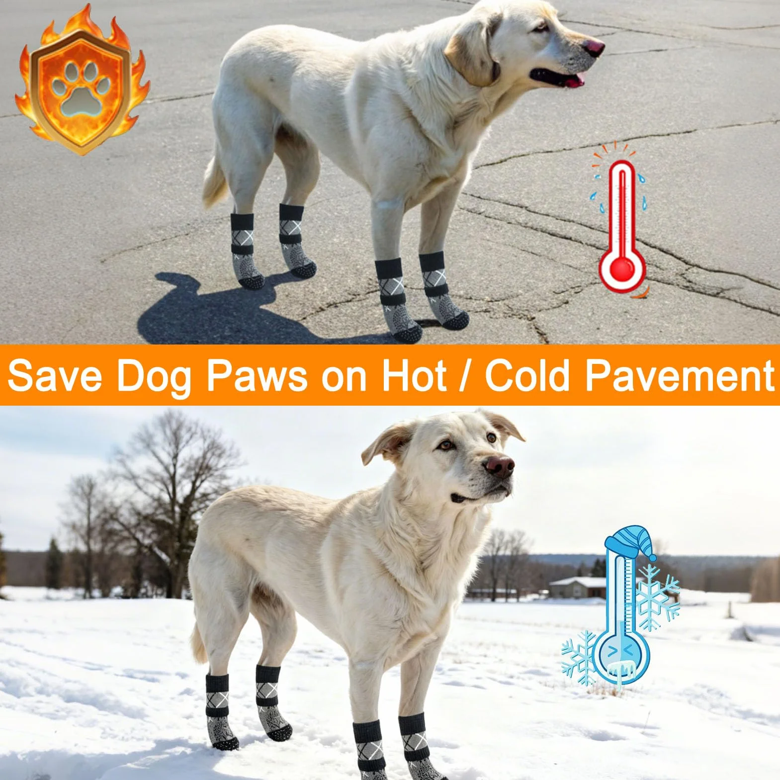BEAUTYZOO Lot de 6 paires de chaussettes pour chien antidérapantes pour sols en bois dur