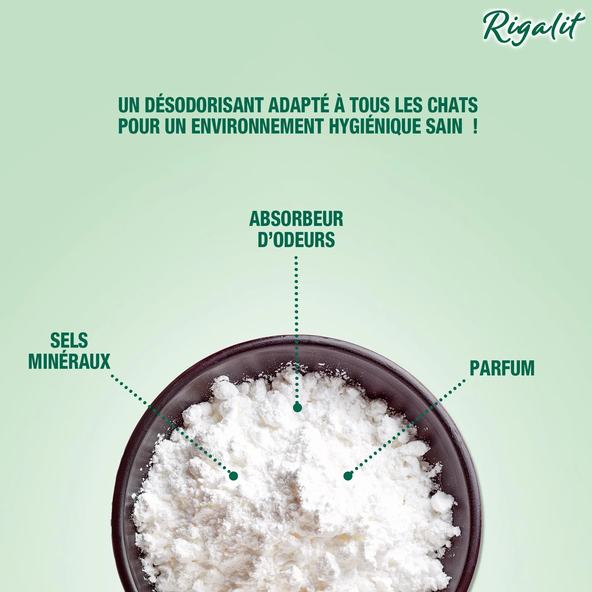 RIGA - Rigalit Déodo - Désodorisant Litière Chat - Parfum Floral - Neutralise Odeurs Et Bactéries - Prolonge Durée De La Litière - Rafraichit L'Atmosphère - 750g