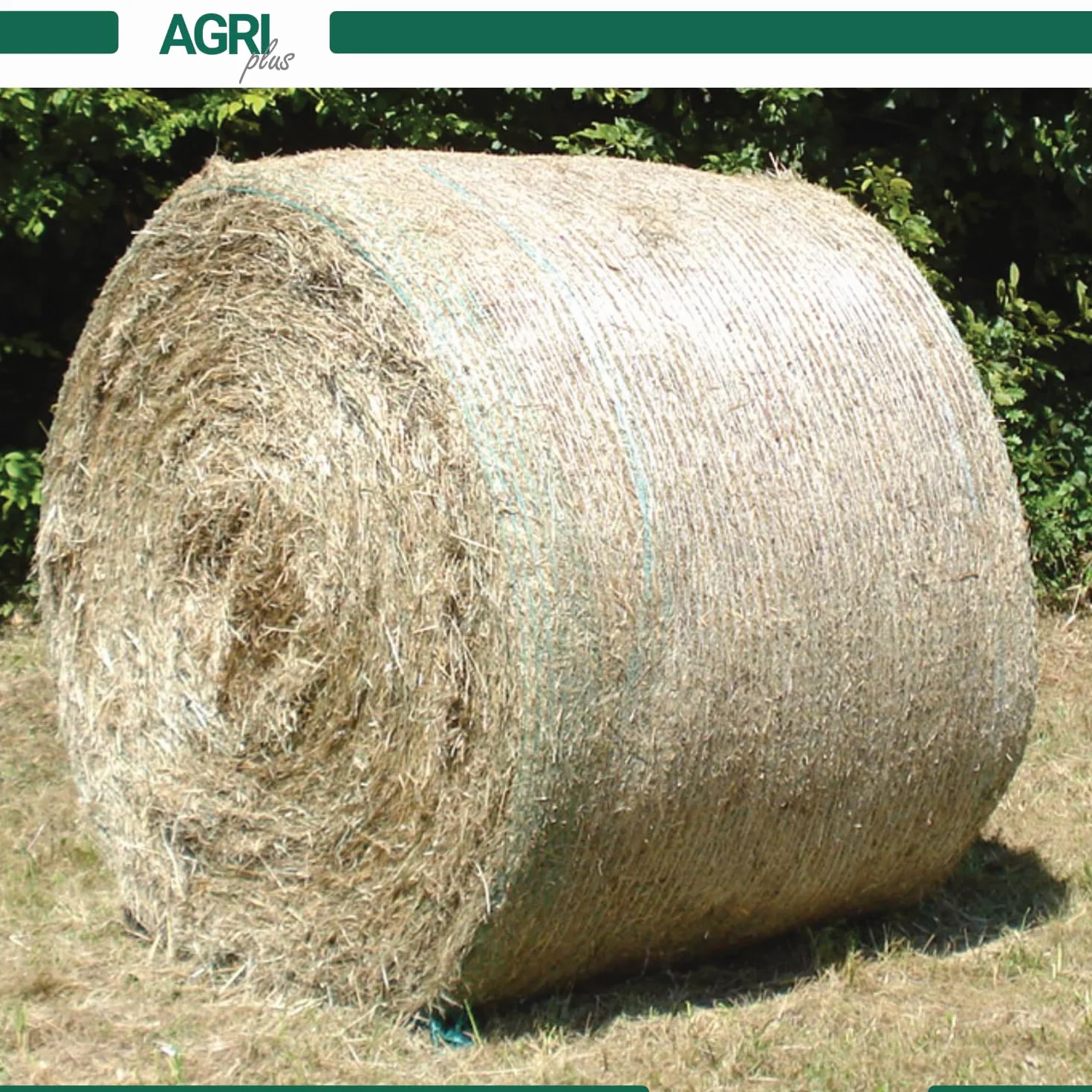 Filet à langer en bois 600 mm x 1400 m Résistant aux intempéries