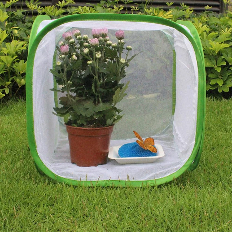 Grande Cage d'élevage pour Insectes et Papillons - Habitat Portable en Fil de Polyester 30x30x30 cm