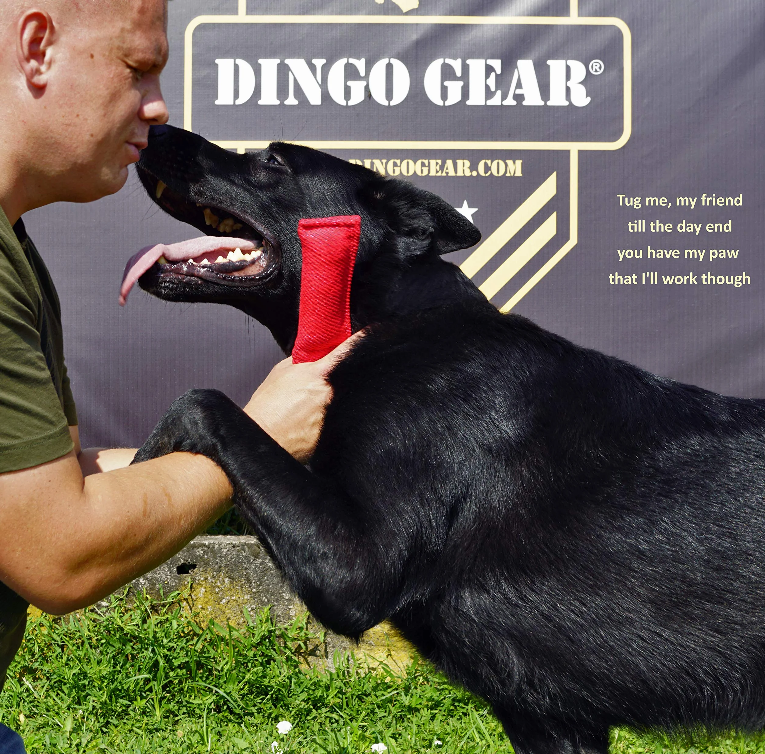 Dingo Gear Nylcot Bite Tire-Chien Dressage IGP Fun 1 poignée Noir 15 x 5 cm