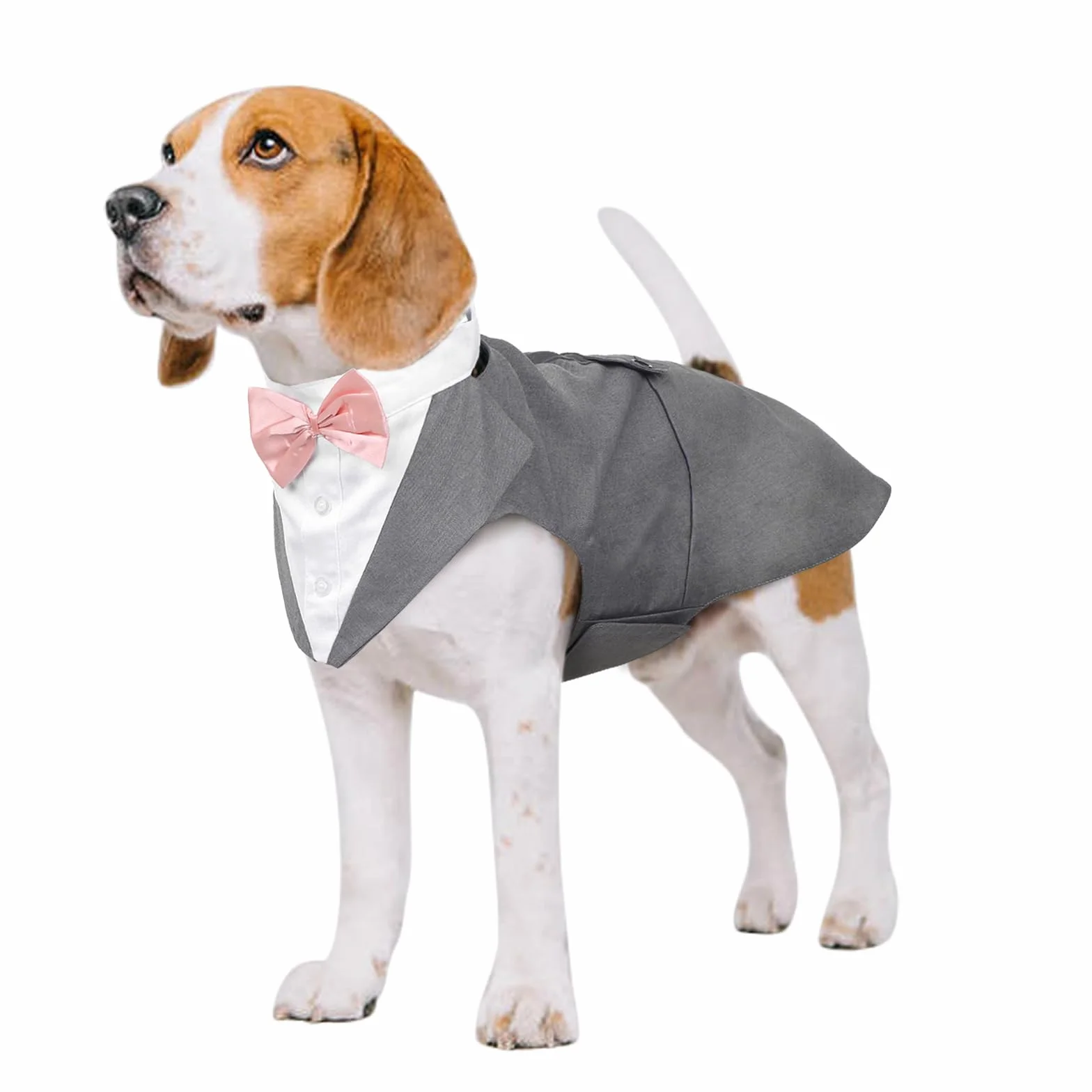 Kuoser Costume Smoking Chien Petite Moyenne Taille, Chemise Chiot Nœud Papillon Rose Amovible, Tenue Formelle Mariage
