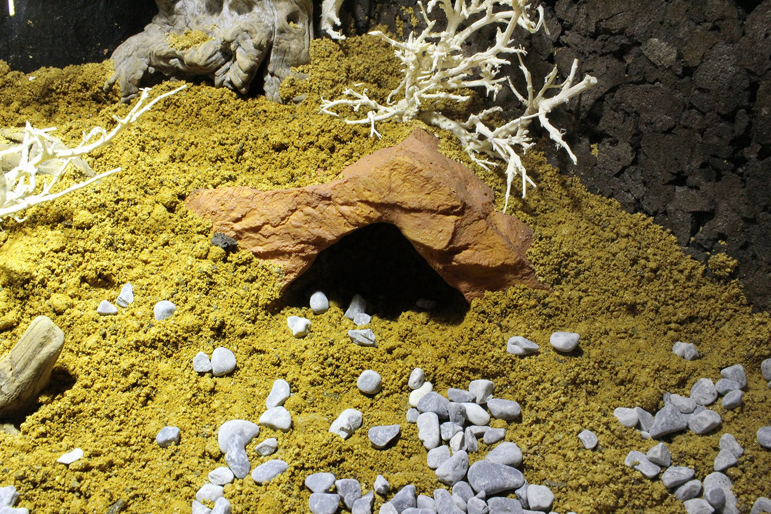 Lucky Reptile Desert Bedding Golden Yellow 20 L Fond de Sol pour Terrarium