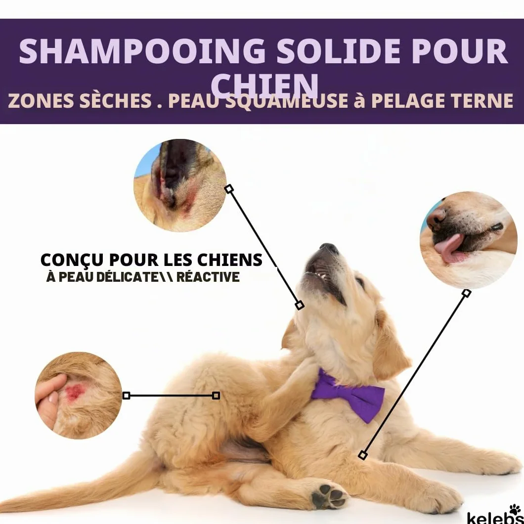Kelebs Shampoing Chien et Chiot Naturel Anti Démangeaisons Anti Puces Anti Stress a la Lavande Huiles Essentielles Aux Flocons D'Avoine Bio Peau Sensible Anti Odeurs Biodegradable 3 Pieces