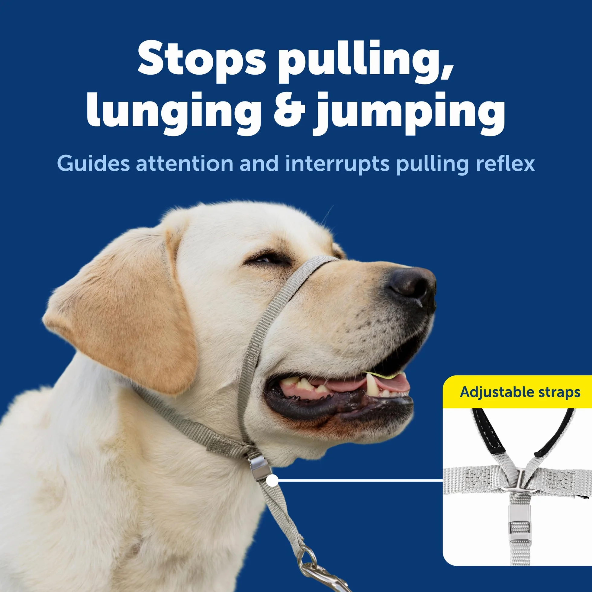 PetSafe Gentle Leader anti-traction pour chien Taille
