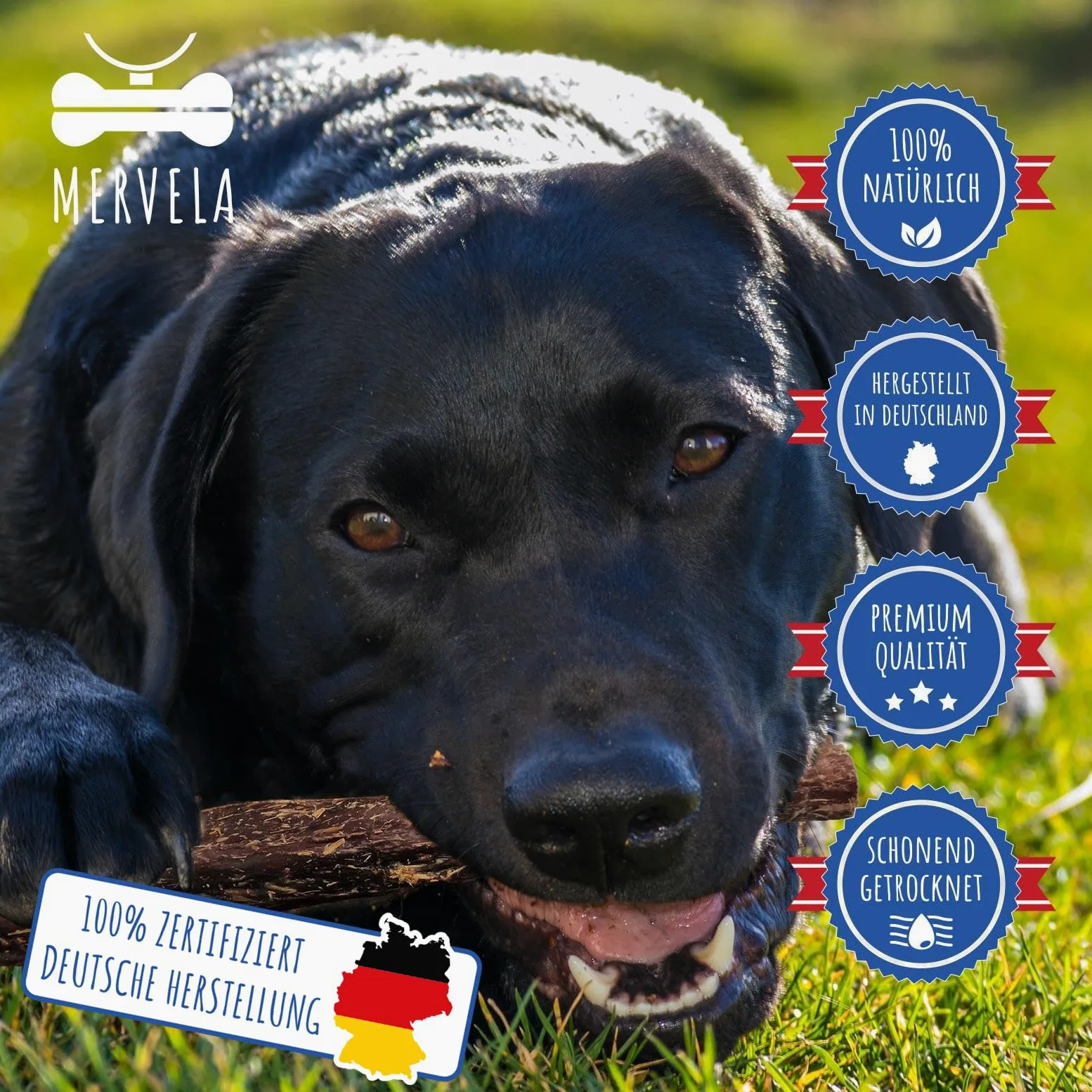 Viande séchée naturelle pour chien | Hypoallergénique | 100 % cheval | Séchée à l'air doux | Sans céréales | Friandise à mâcher de qualité supérieure en provenance d'Allemagne | 1 kg