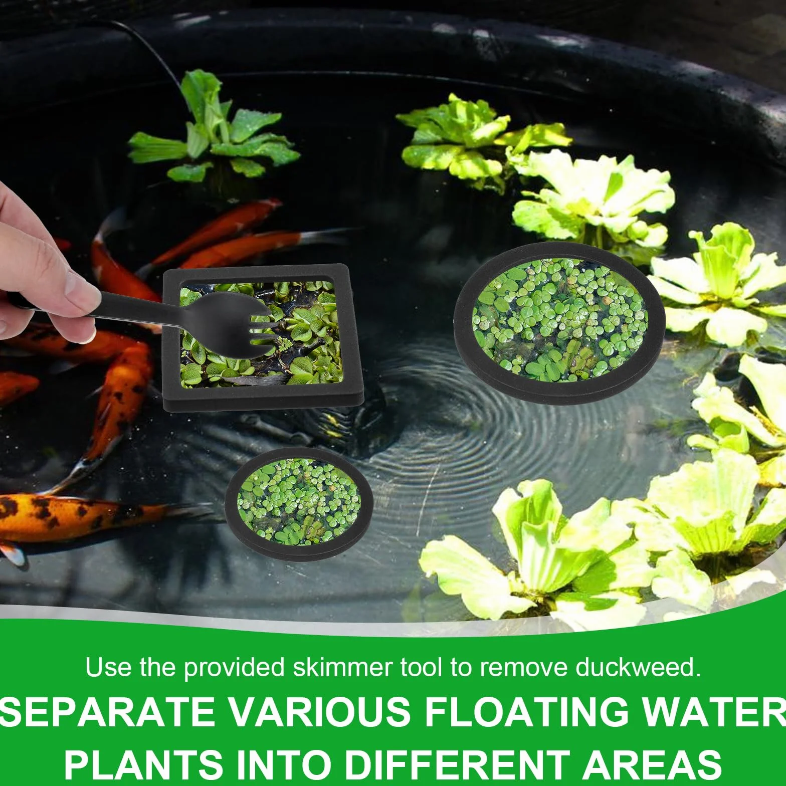 Betta Lot de 6 anneaux d'alimentation pour poissons Barrière flottante EVA pour aquarium Accessoires support plantes flottantes Mangeoire