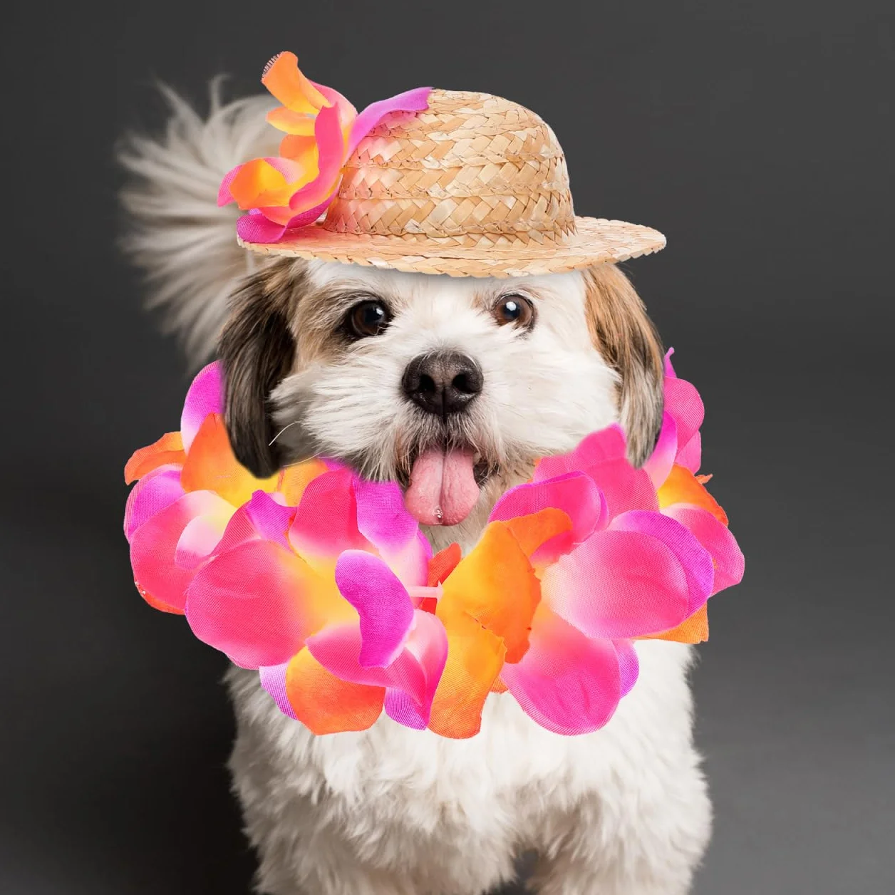 Costume Hawaïen pour Chien avec Chapeau De Paille Et Guirlande Accessoires pour Animaux