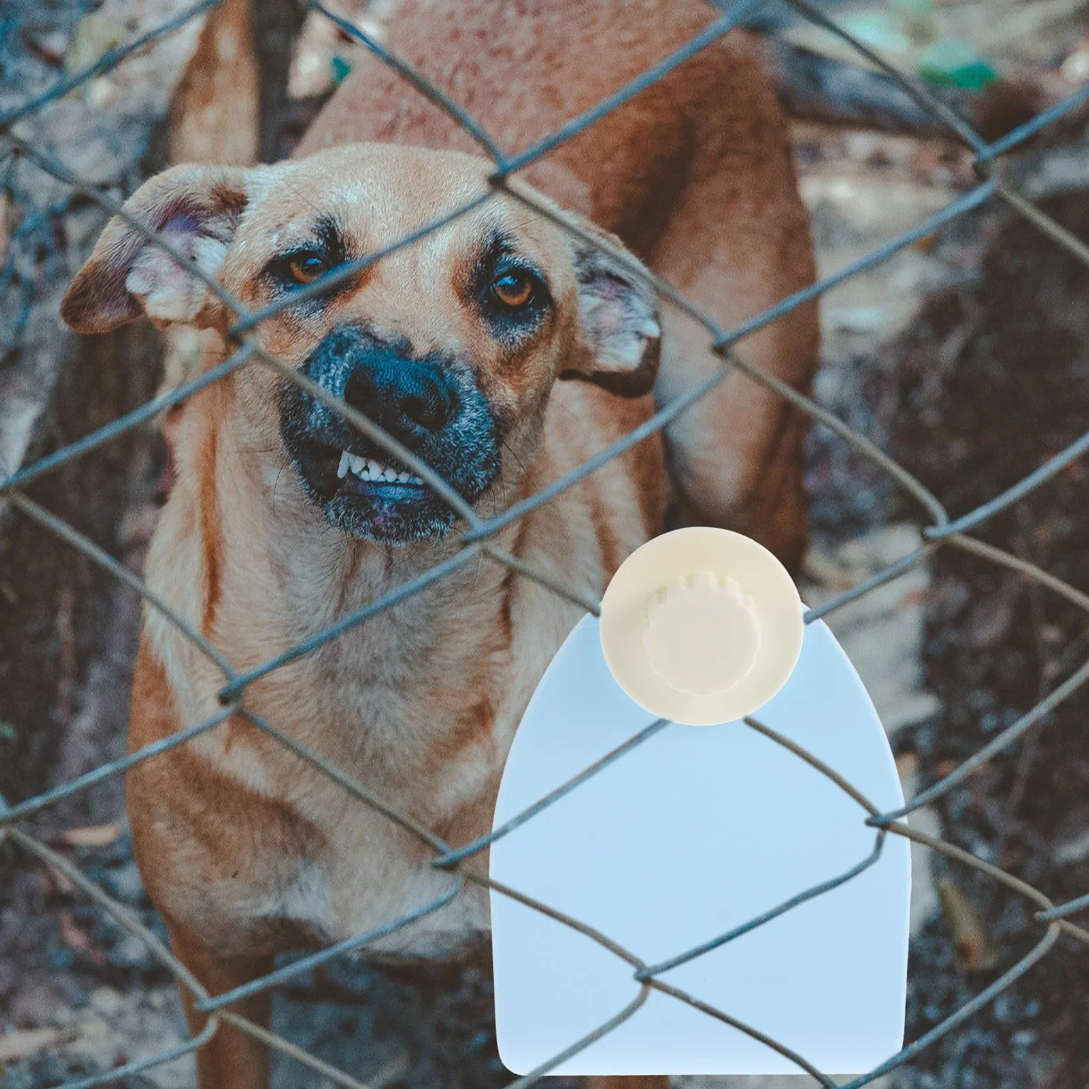 Gamelle Suspendue pour Petits Animaux Bol Alimentaire Anti-Renversement en Plastique Bleu Compatible Lapins Cochons D’Inde et Hamsters